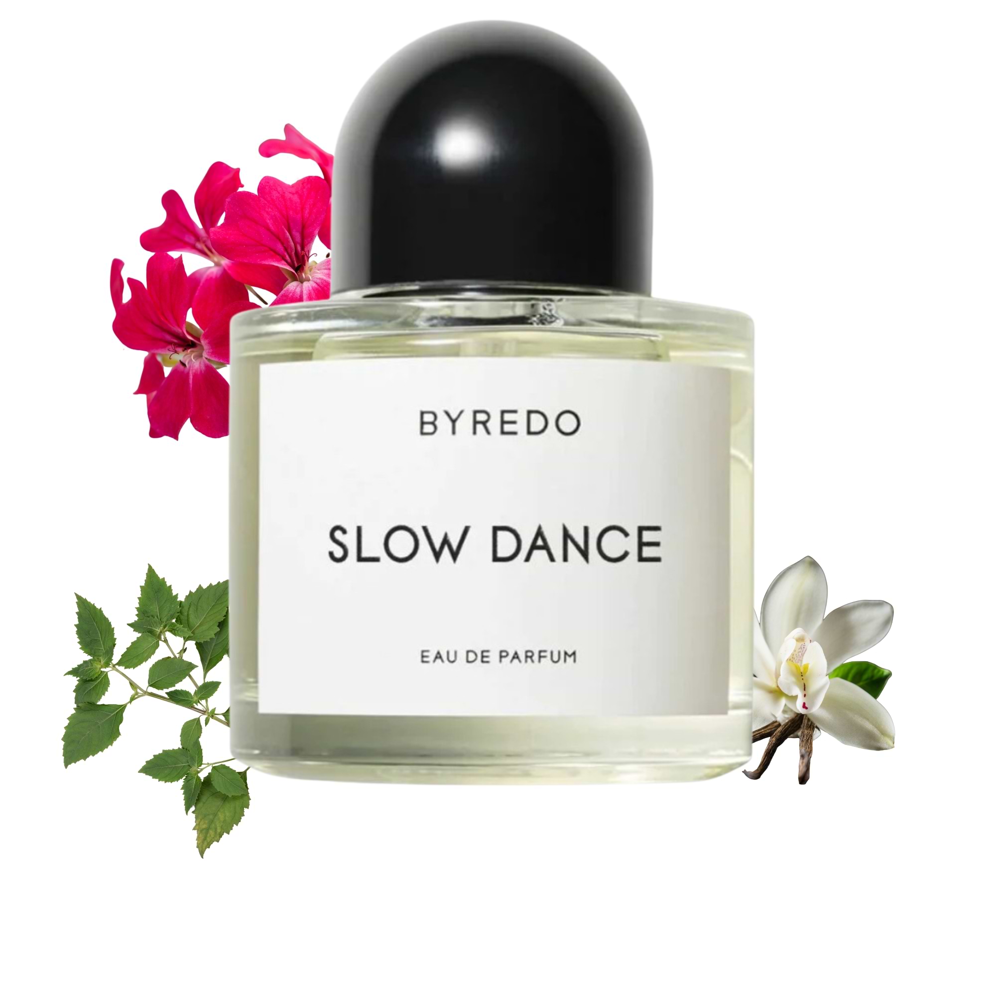 香水(ユニセックス) BYREDO SLOW DANCE Eau de Parfum Amazon.com : Byredo Slow Dance EDP Eau De Parfum Spray