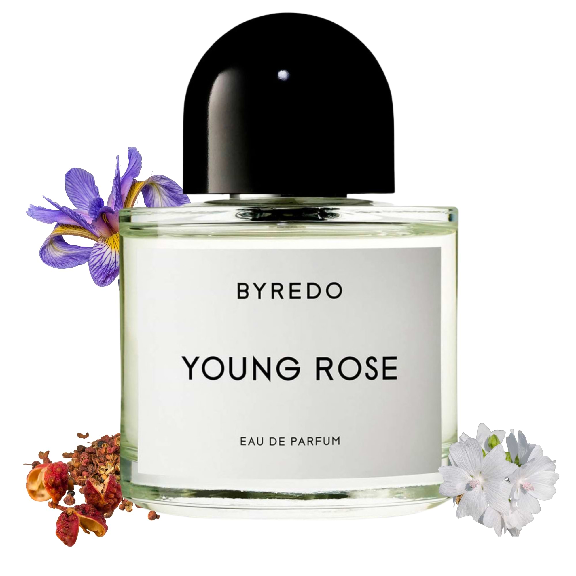 Byredo Young Rose-A Perfume that Breaks the Rules