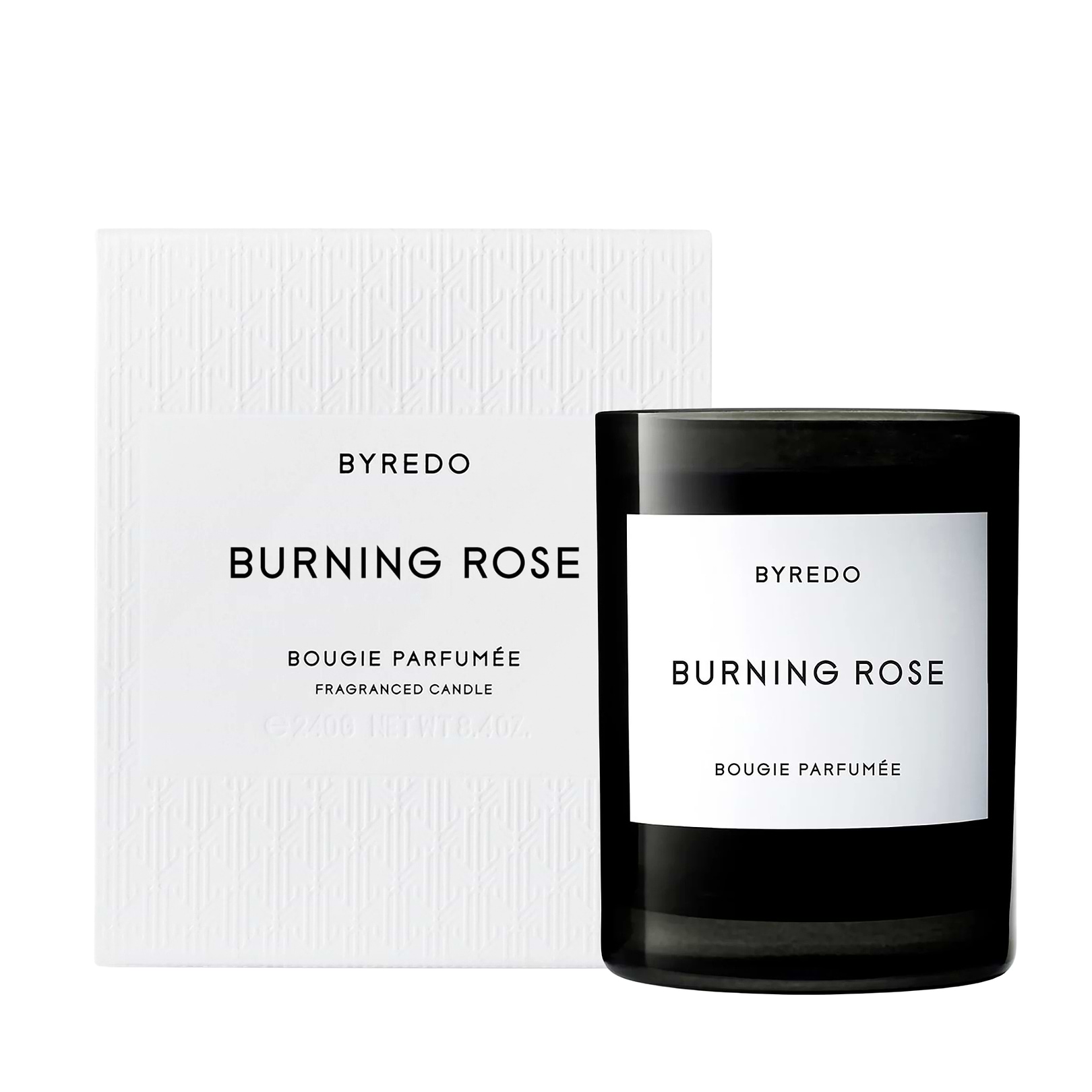Burning Rose