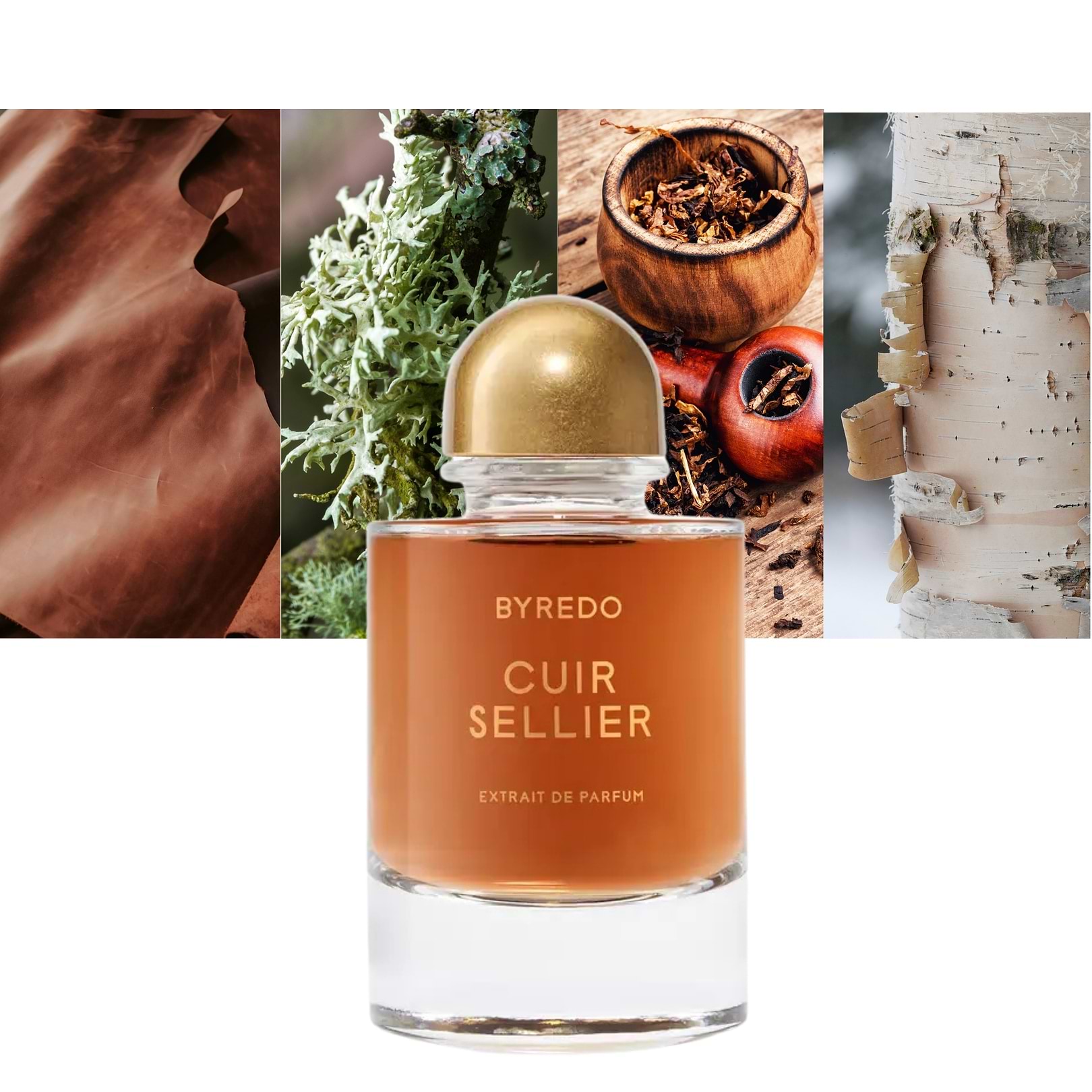 Cuir Sellier