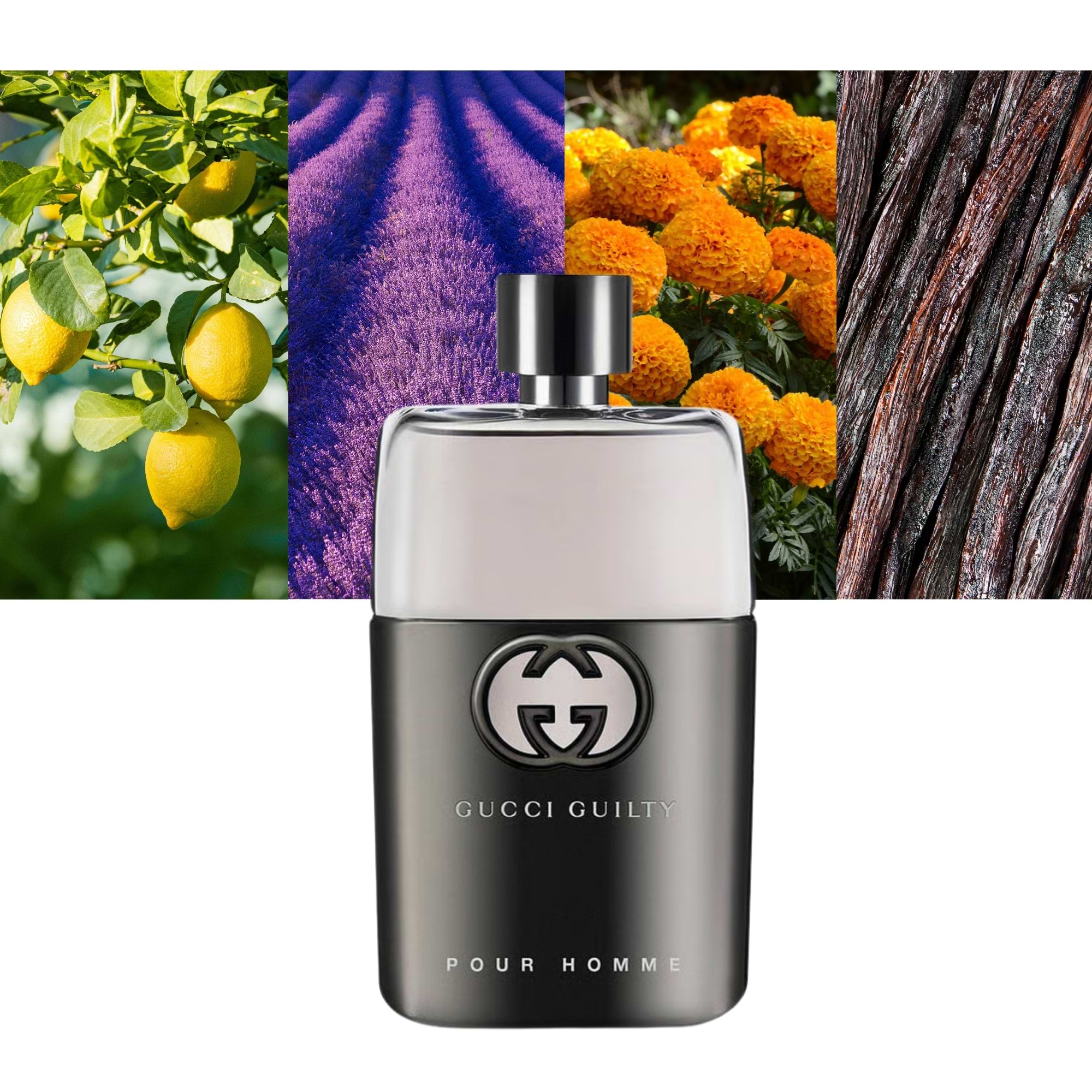Bombshell Alert Gucci Guilty Pour Homme For All The y Men bombshell-alert-gucci-guilty-pour-homme-for-all-the-y-men