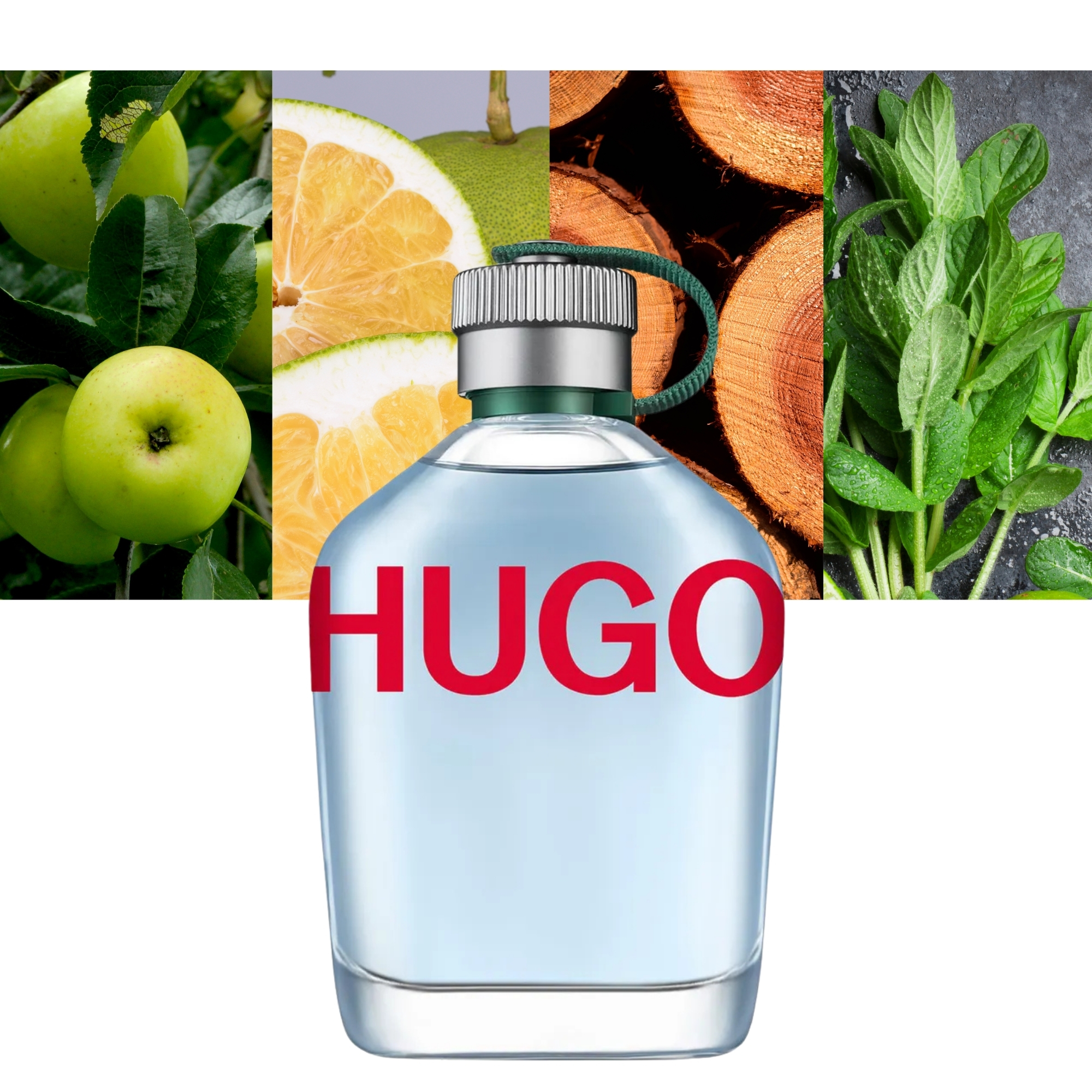 Hugo