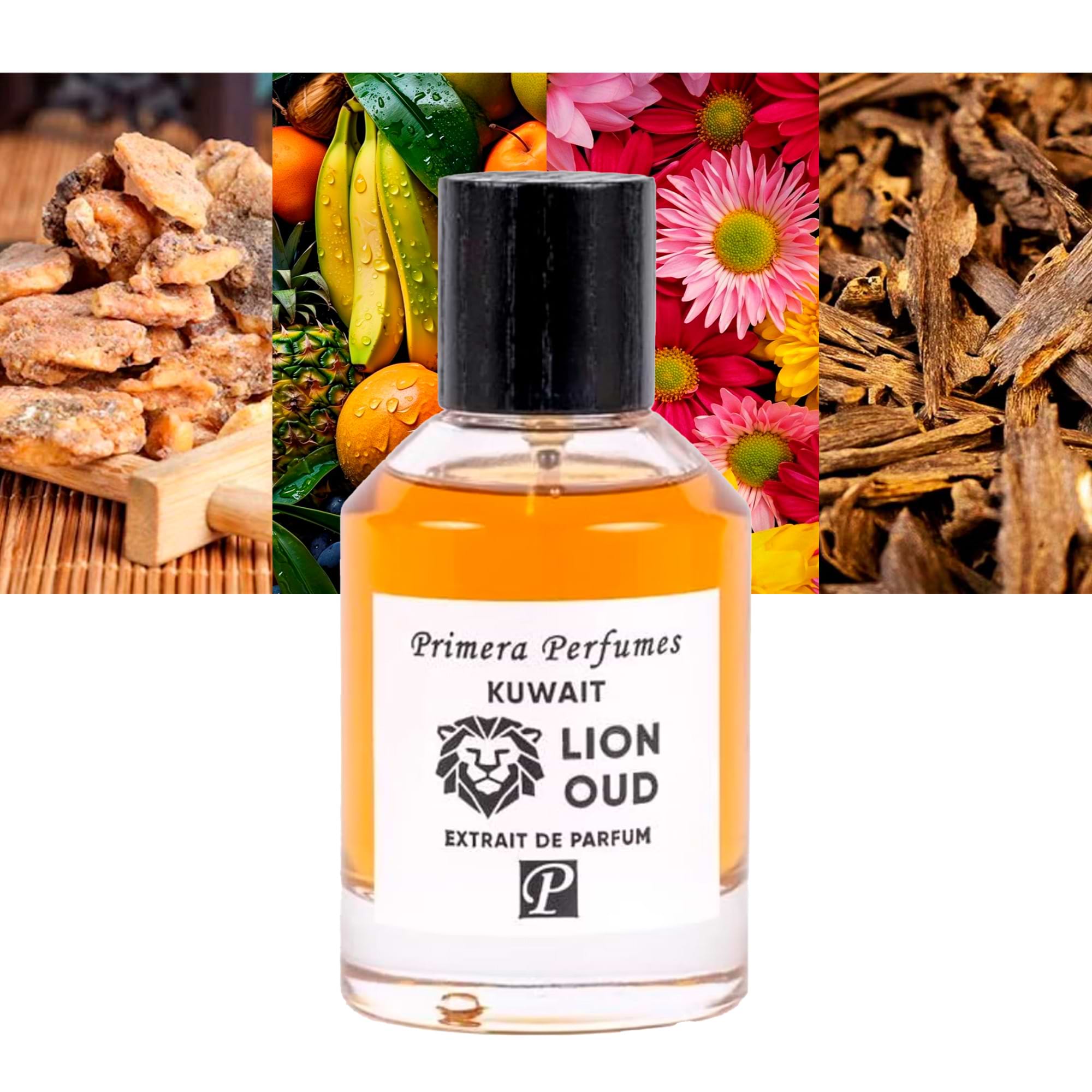 Primera Perfumes Lion Oud A Fragrance For Royal Sniffers