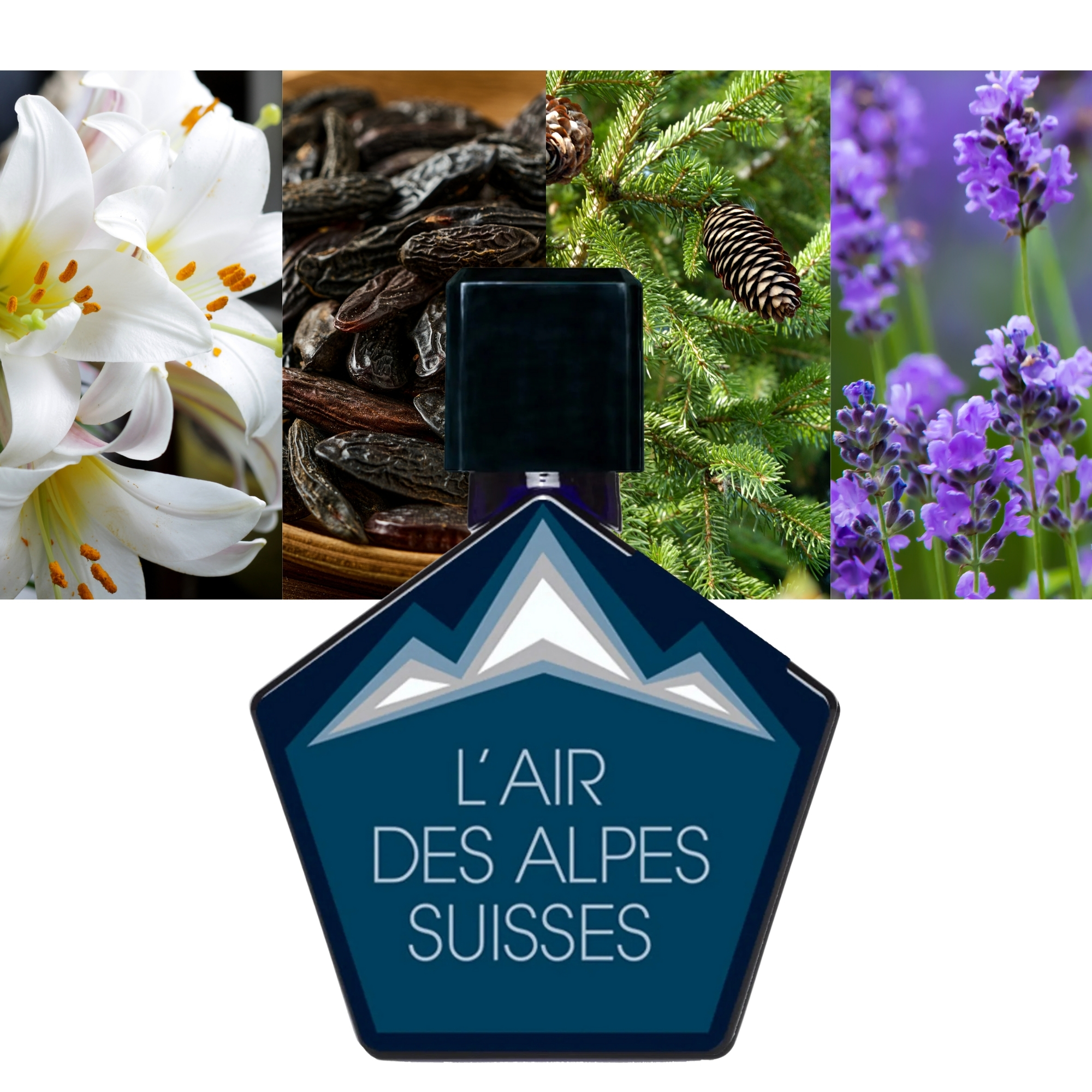 L’Air Des Alpes Suisses