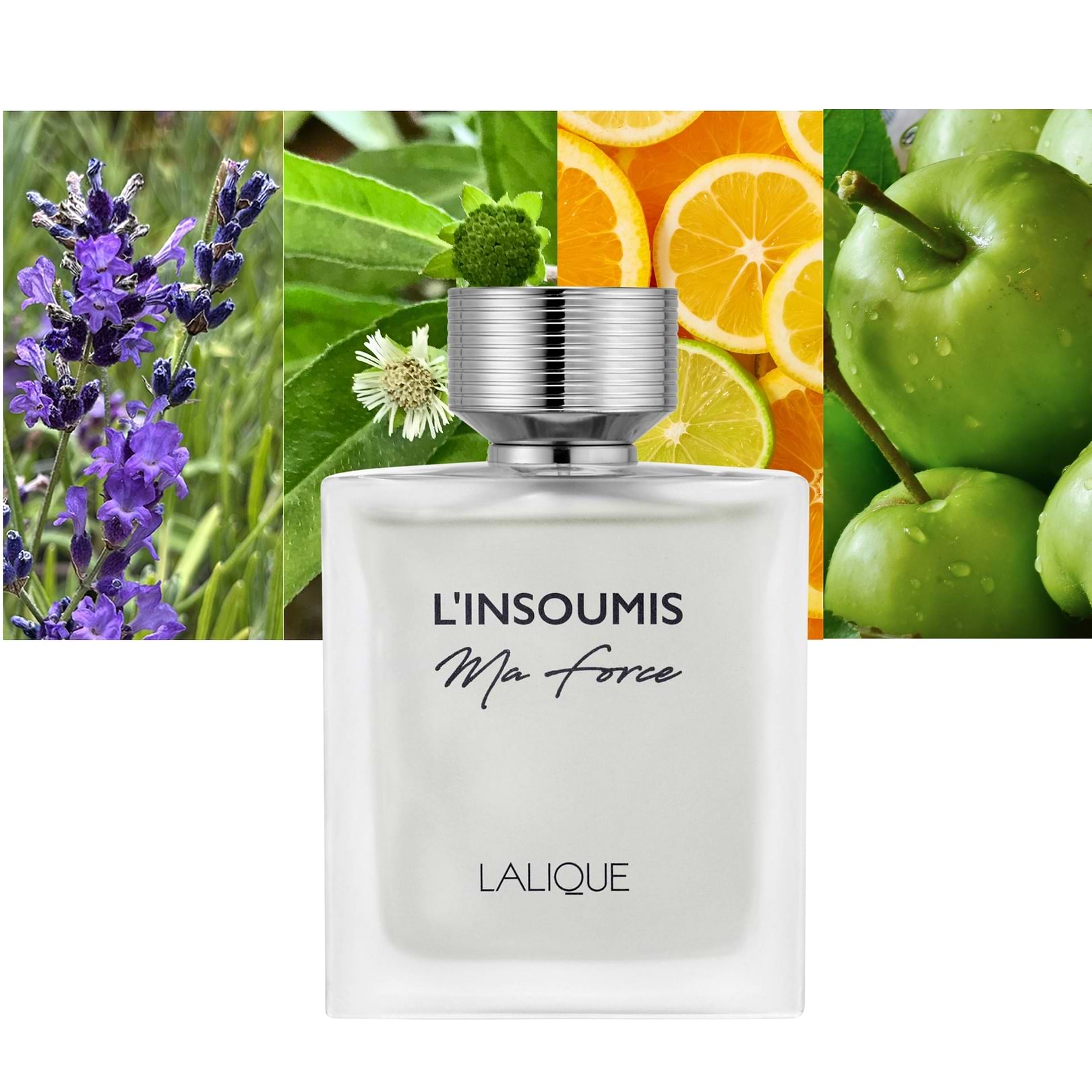 L'insoumis 
