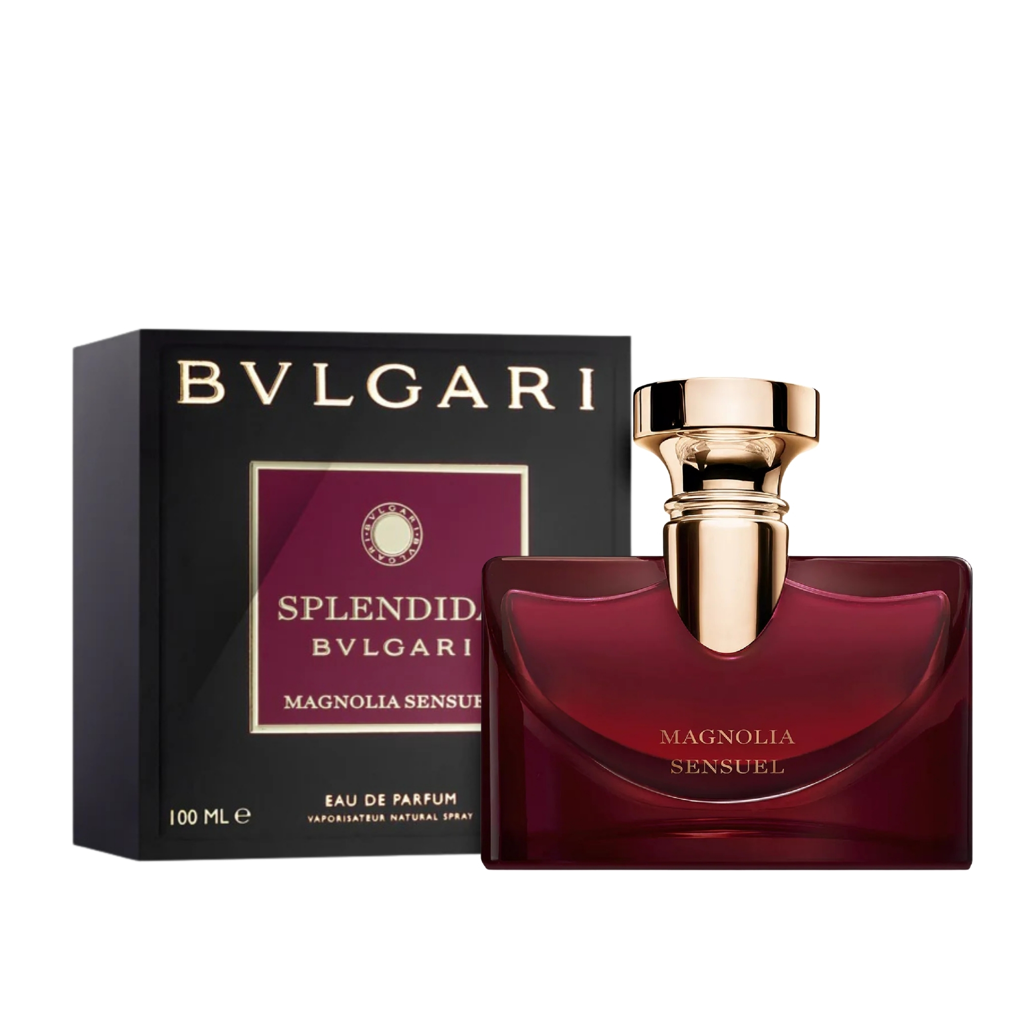 Splendida Magnolia Sensuel