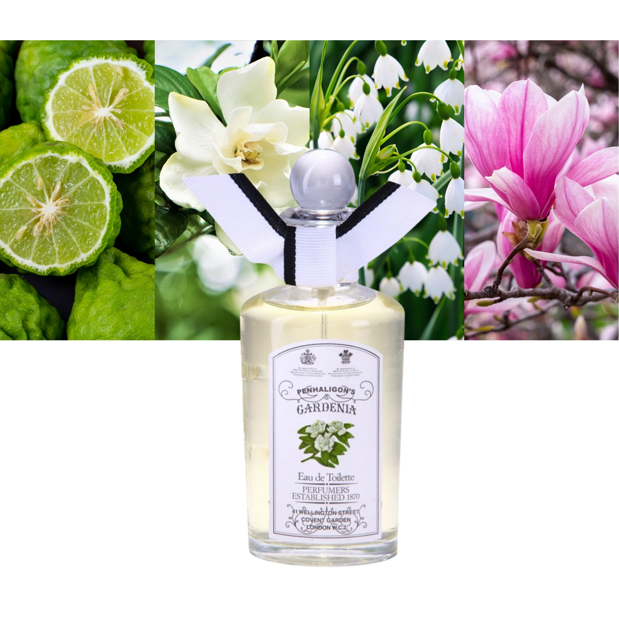 Penhaligon's Anthology Gardenia 