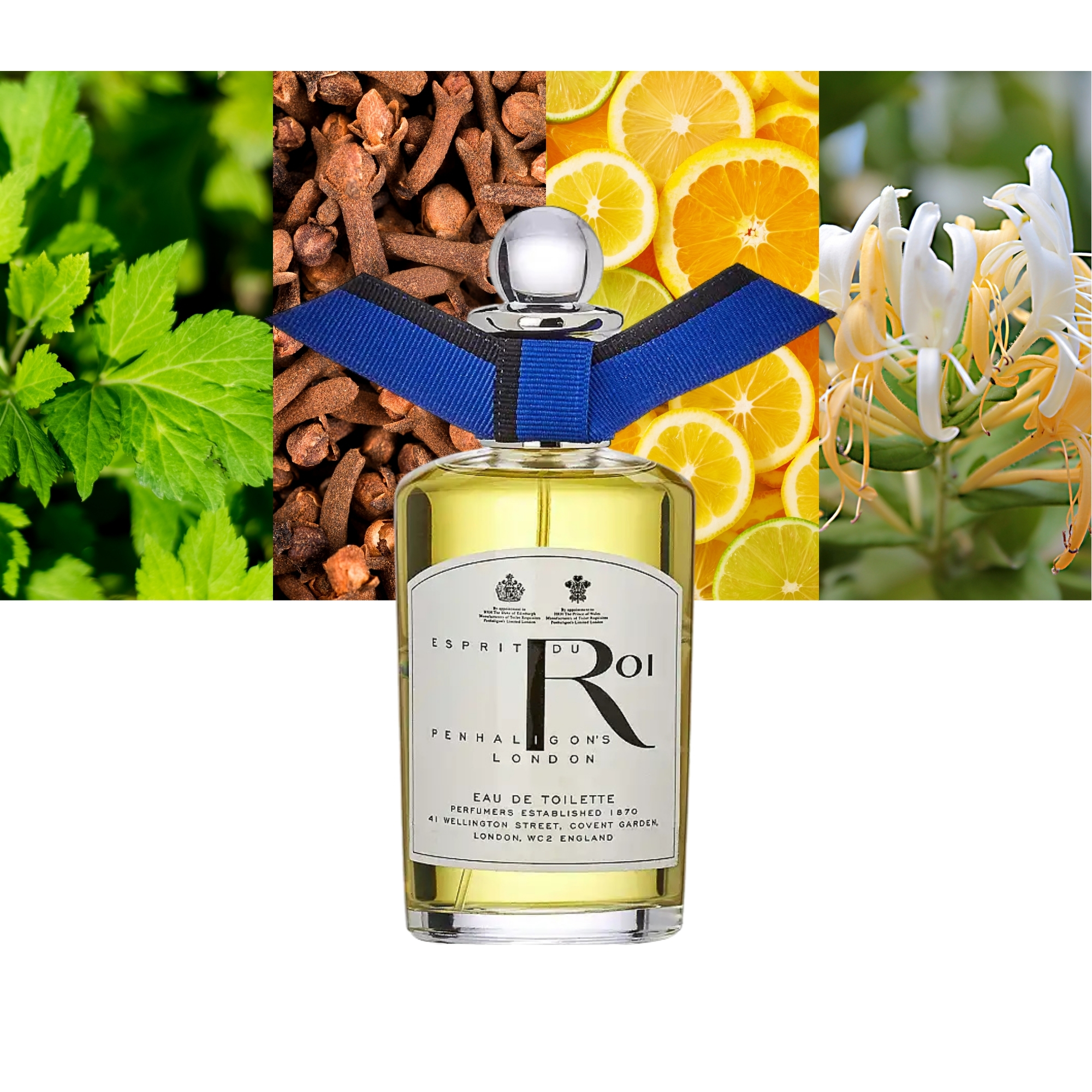 Anthology Esprit Du Roi