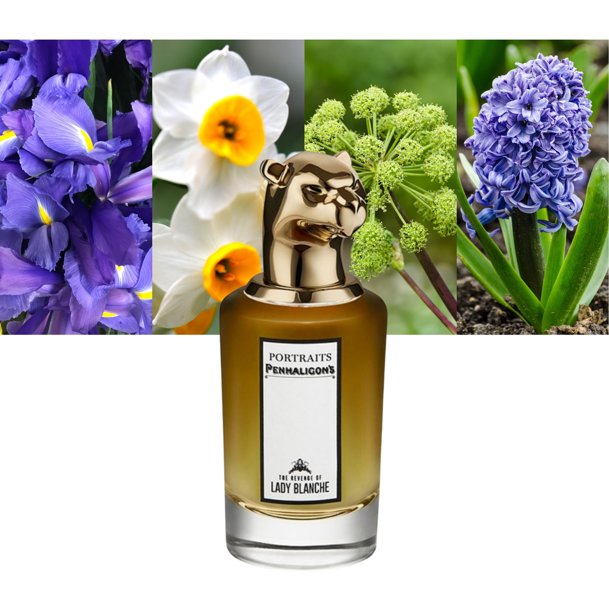 The Revenge Of Lady Blanche