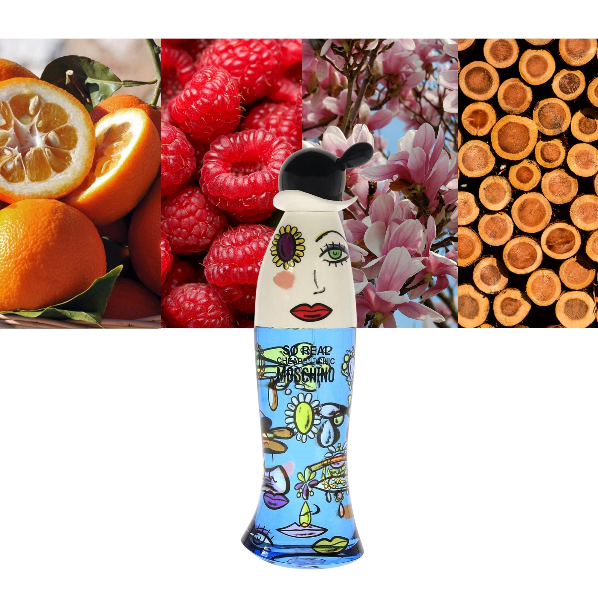 Cheap And Chic So Real