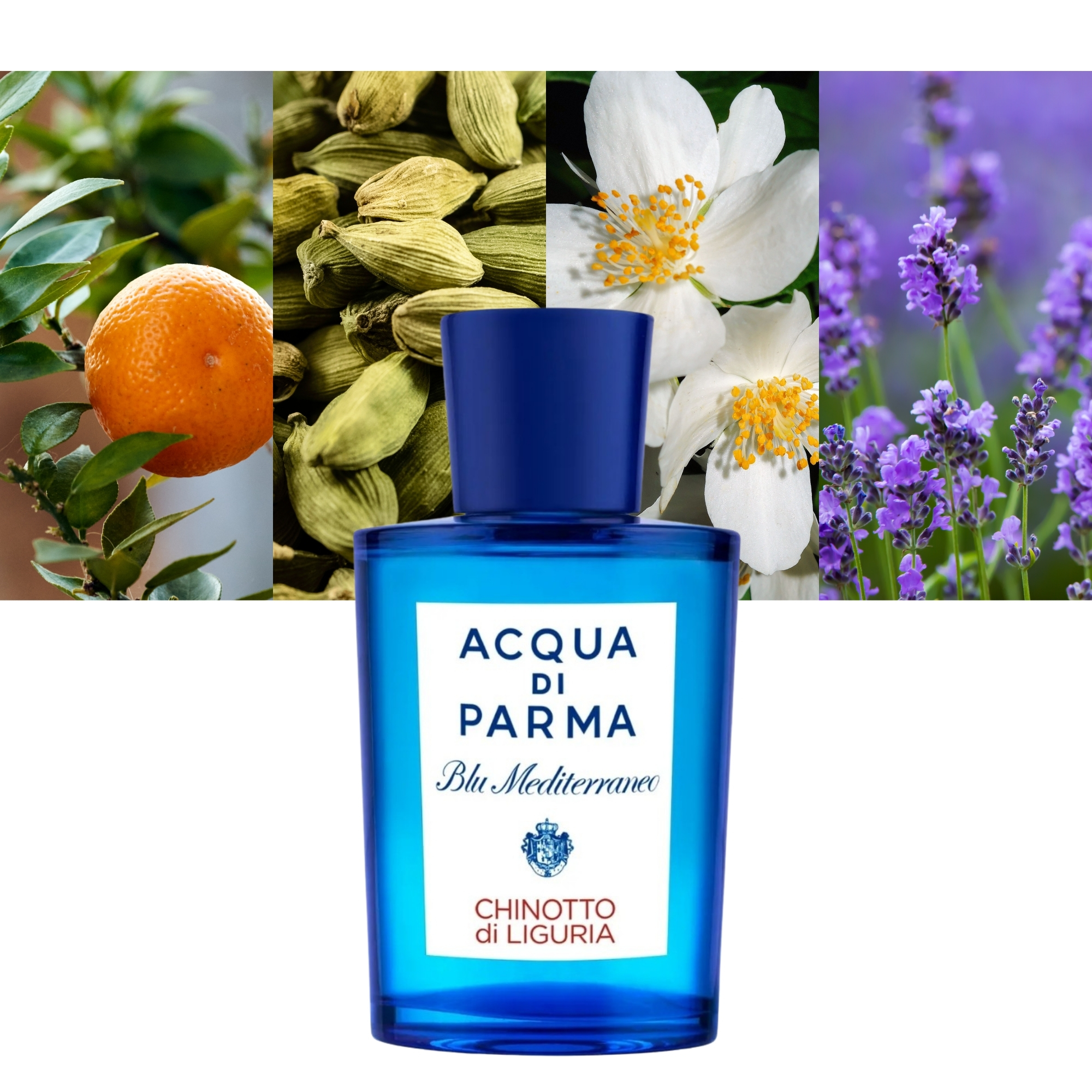 Blu Mediterraneo Chinotto di Liguria