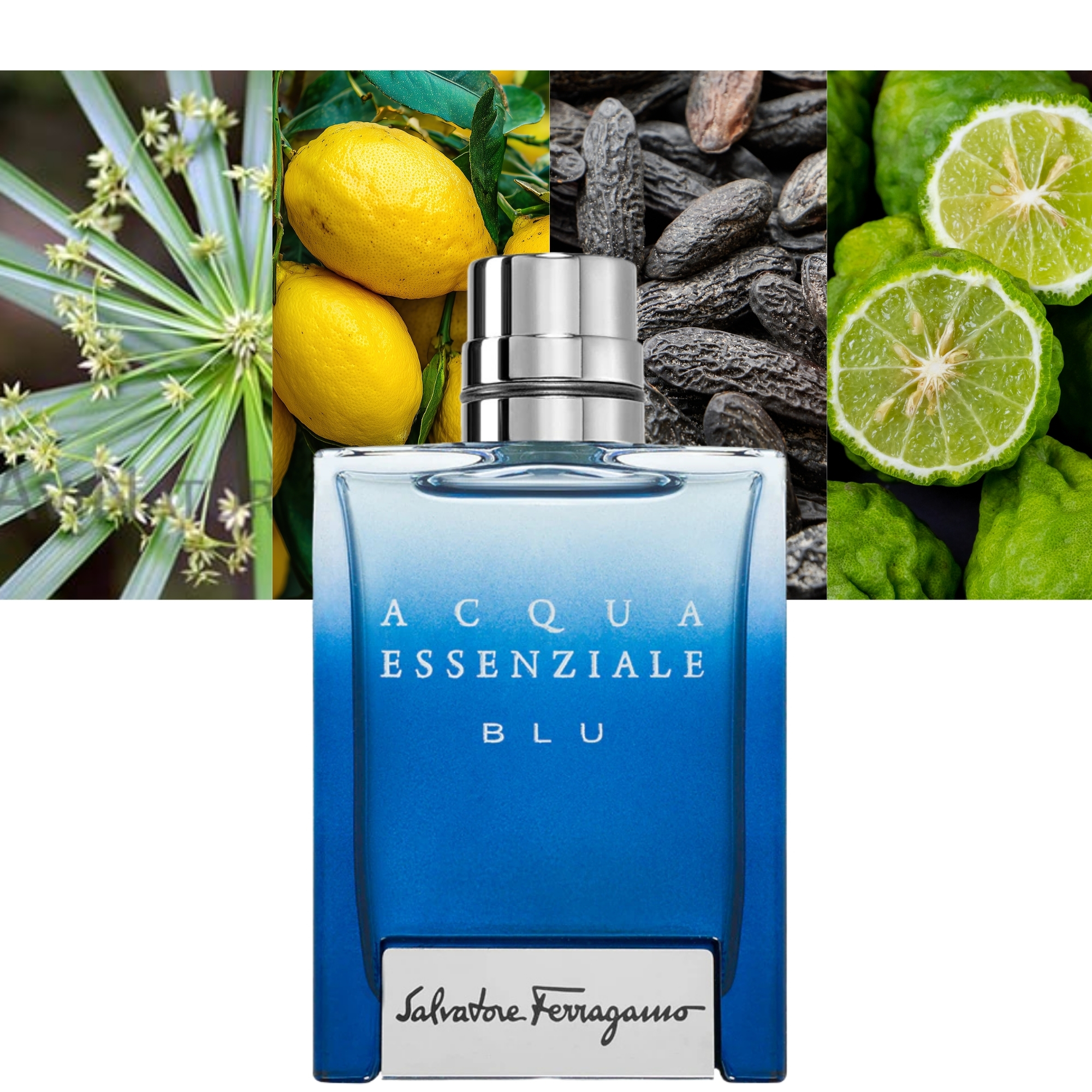 Acqua Essenziale Blu