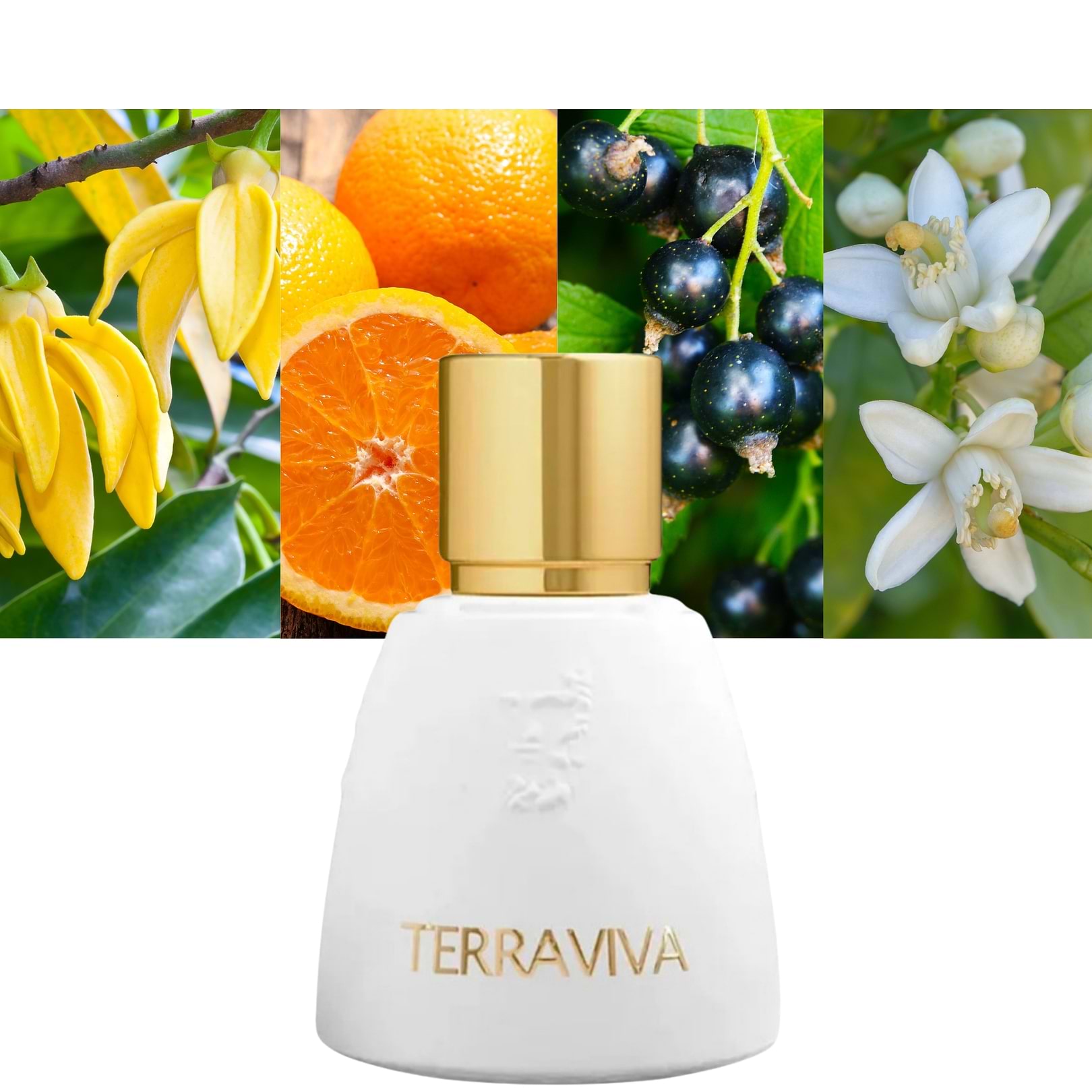 Terraviva