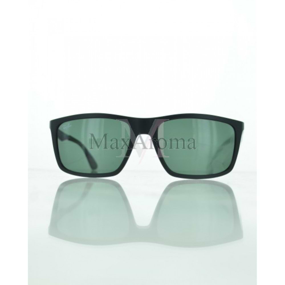 RB 4228 Sunglasses 