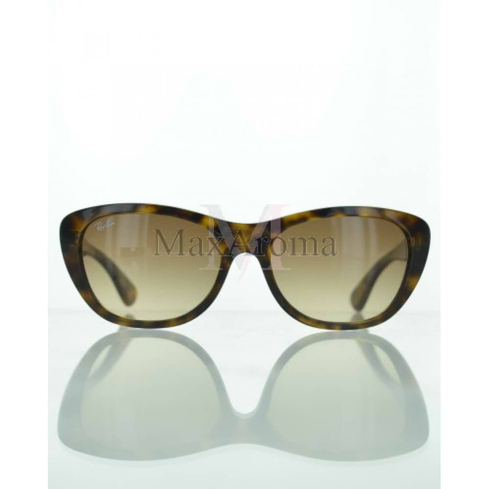 RB 4227 Sunglasses 