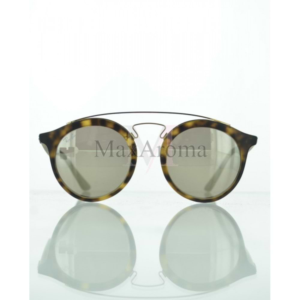 RB 4256 Sunglasses 