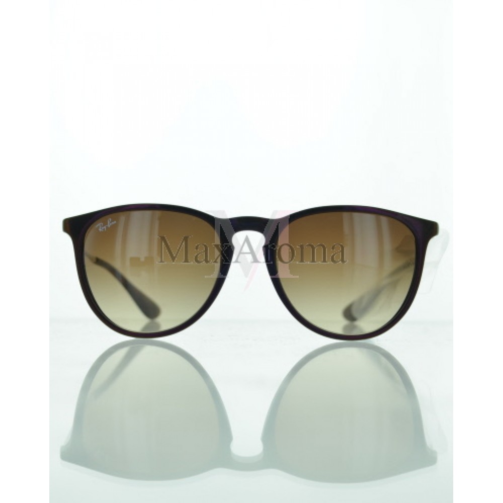 Ray Ban  RB 4171 631513 Erika Classic Sunglasses
