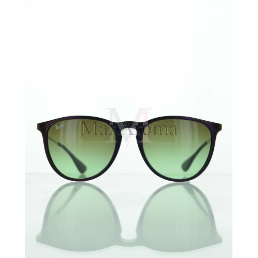 Ray Ban RB4171 6316E8 Erika Sunglasses