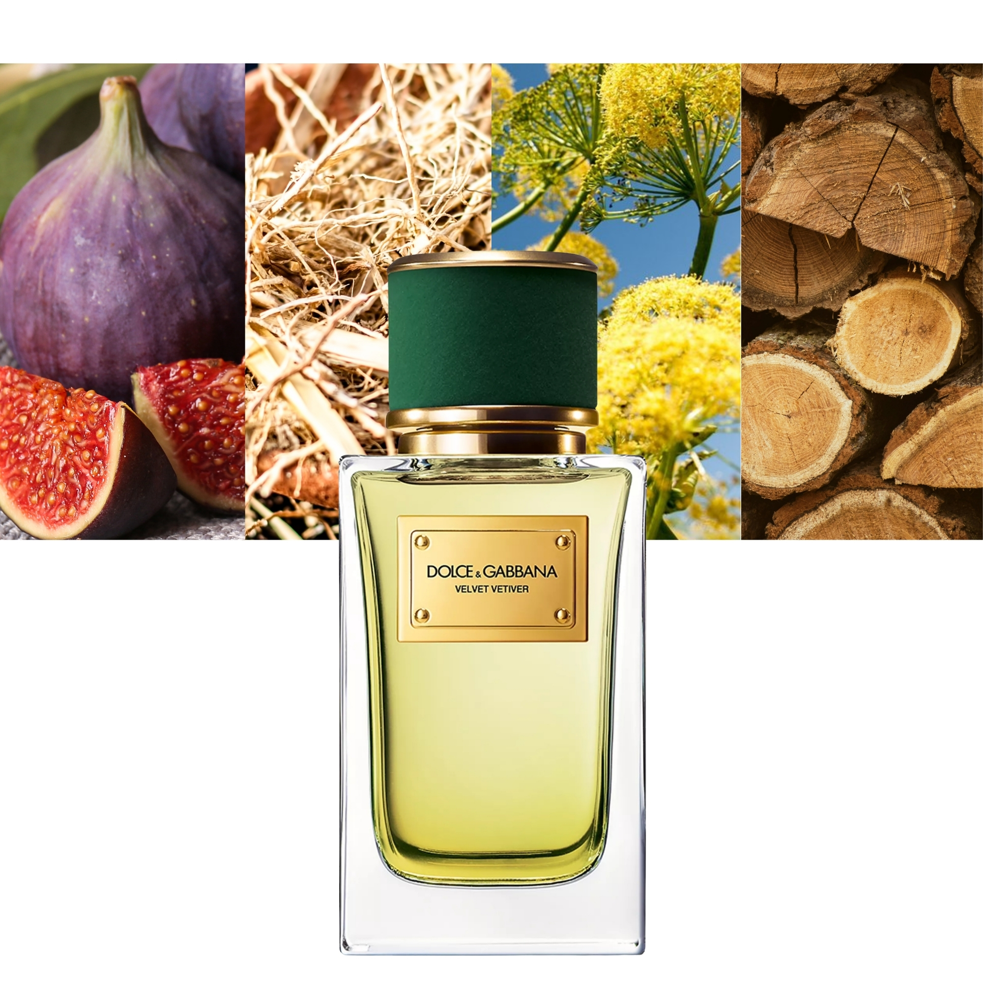 Velvet Vetiver