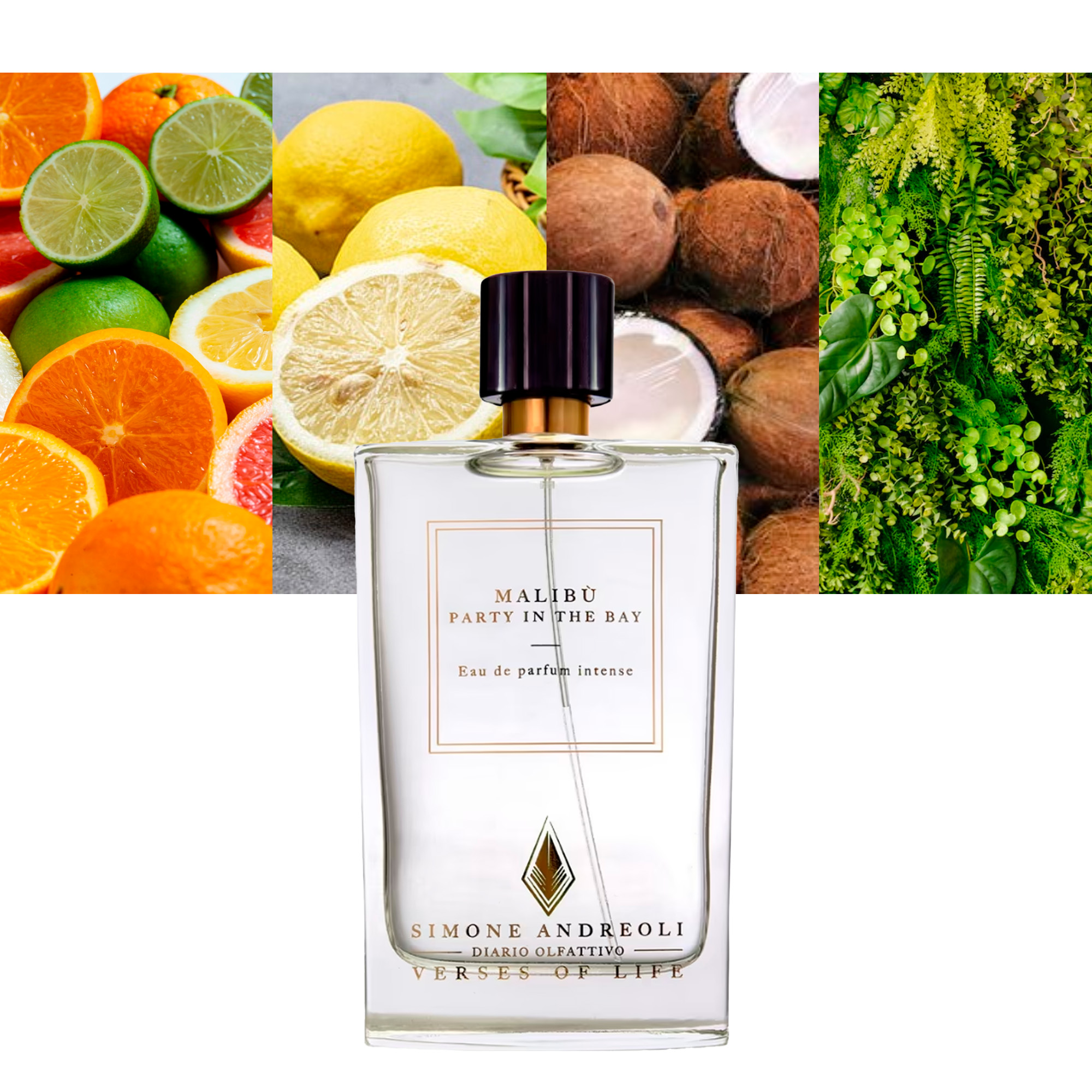 Malibu - Party in the Bay