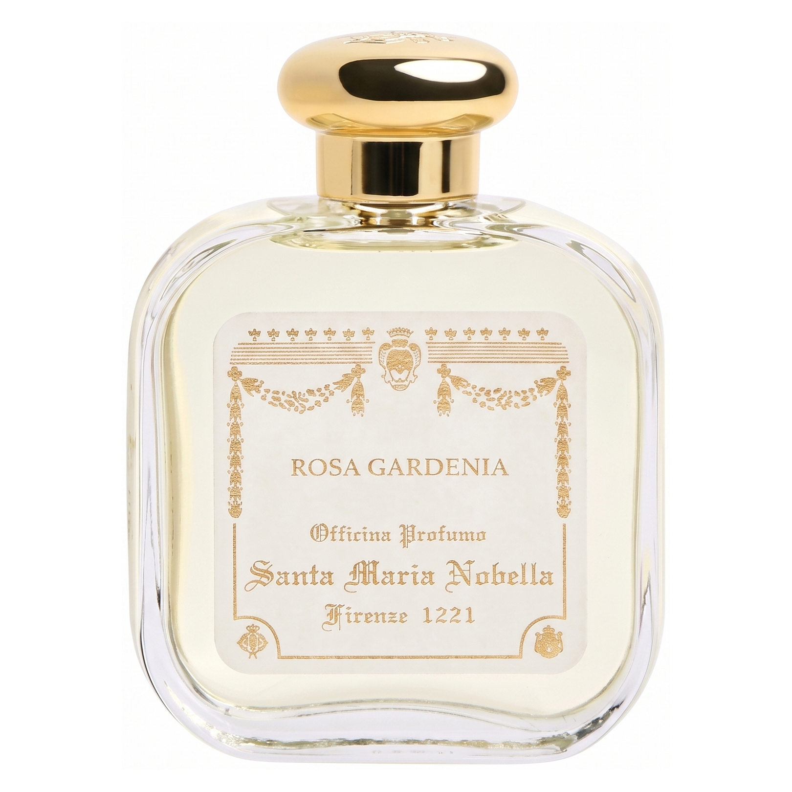Rosa Gardenia