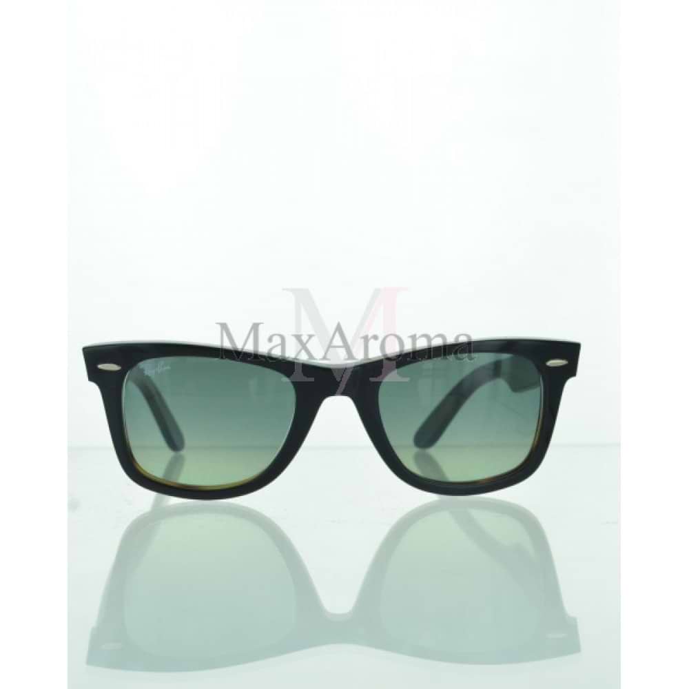 RB 2140 Sunglasses 