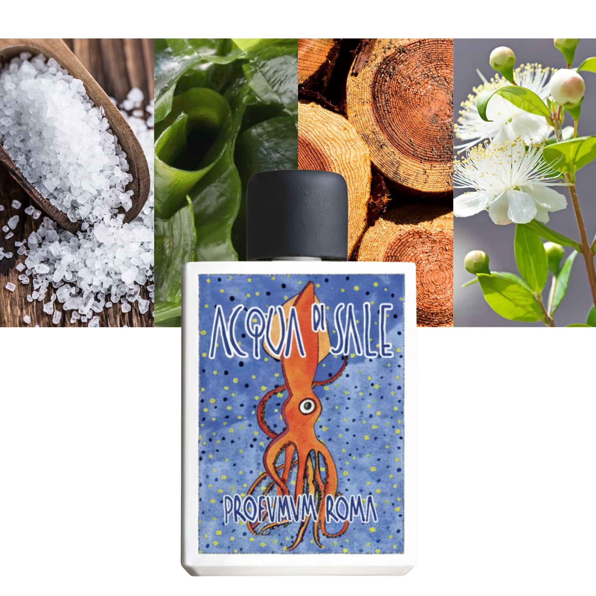  Acqua di Sale Acquerello 2025