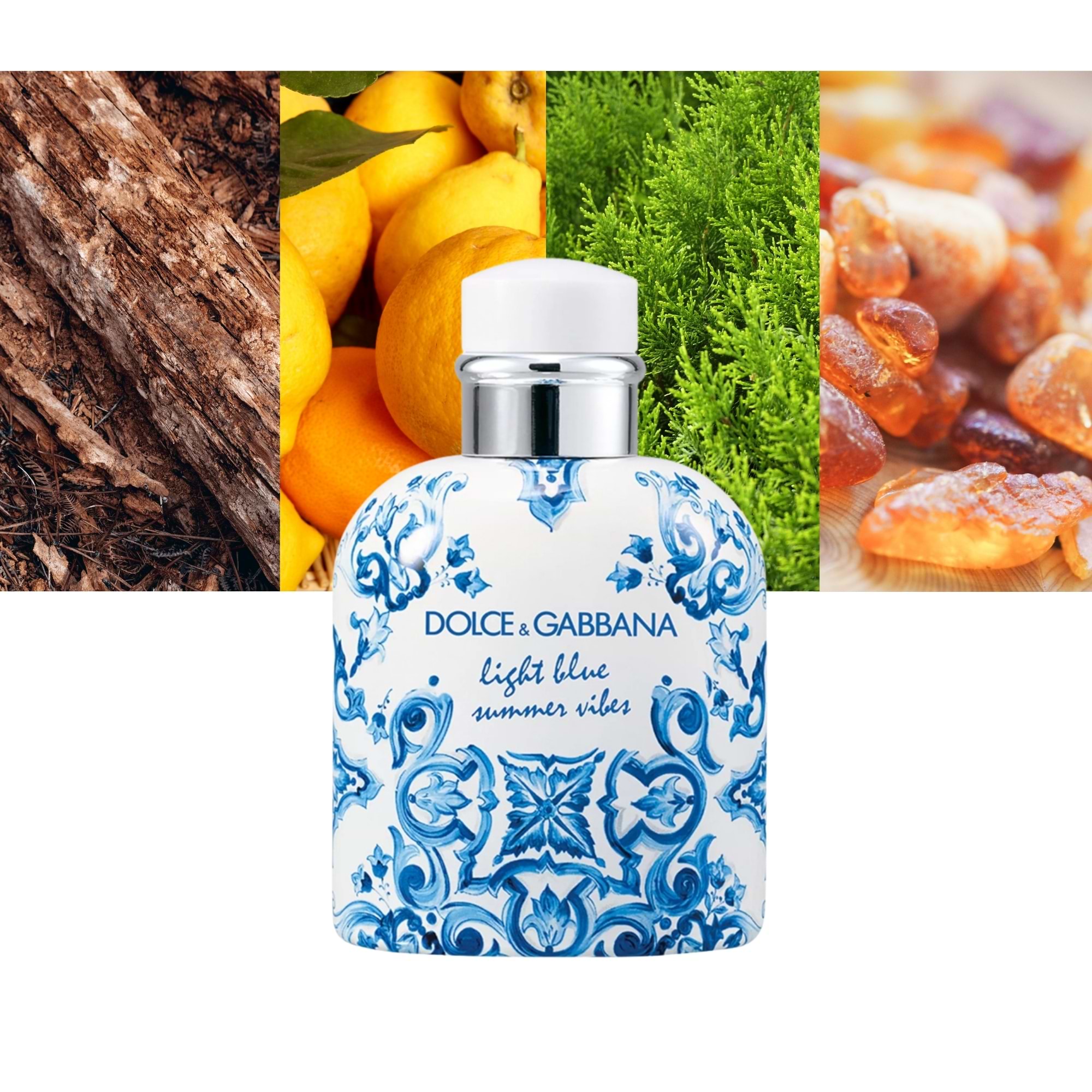 Dolce Gabbana Light Blue Pour Homme Summer Vibes Eau De Toilette