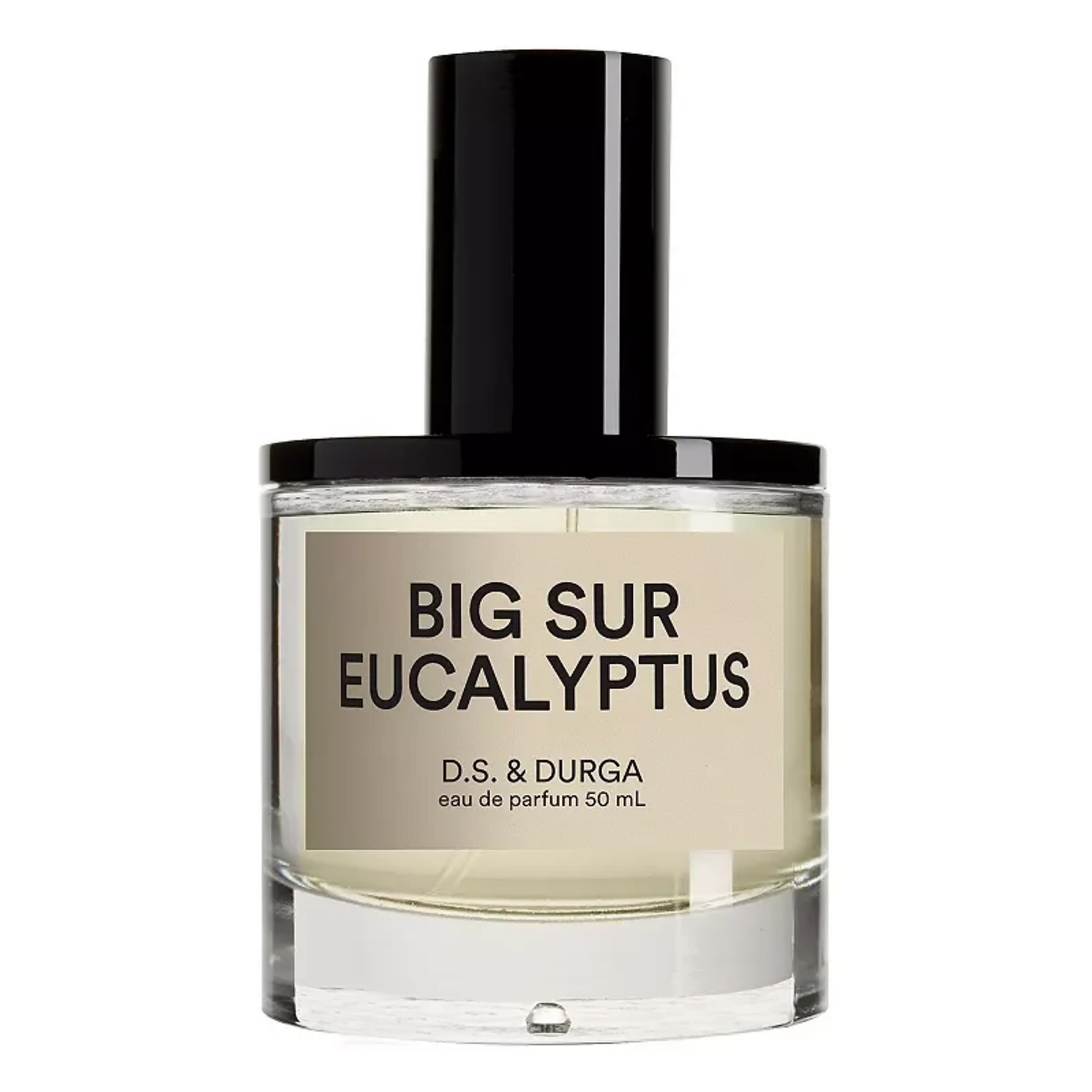 Big Sur Eucalyptus