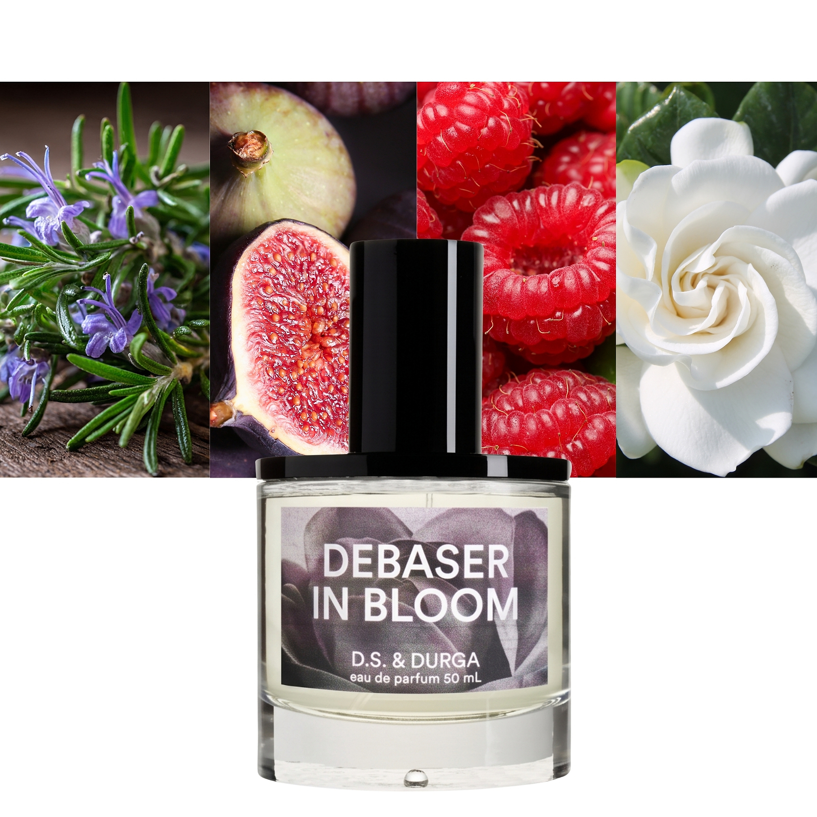 Debaser in Bloom