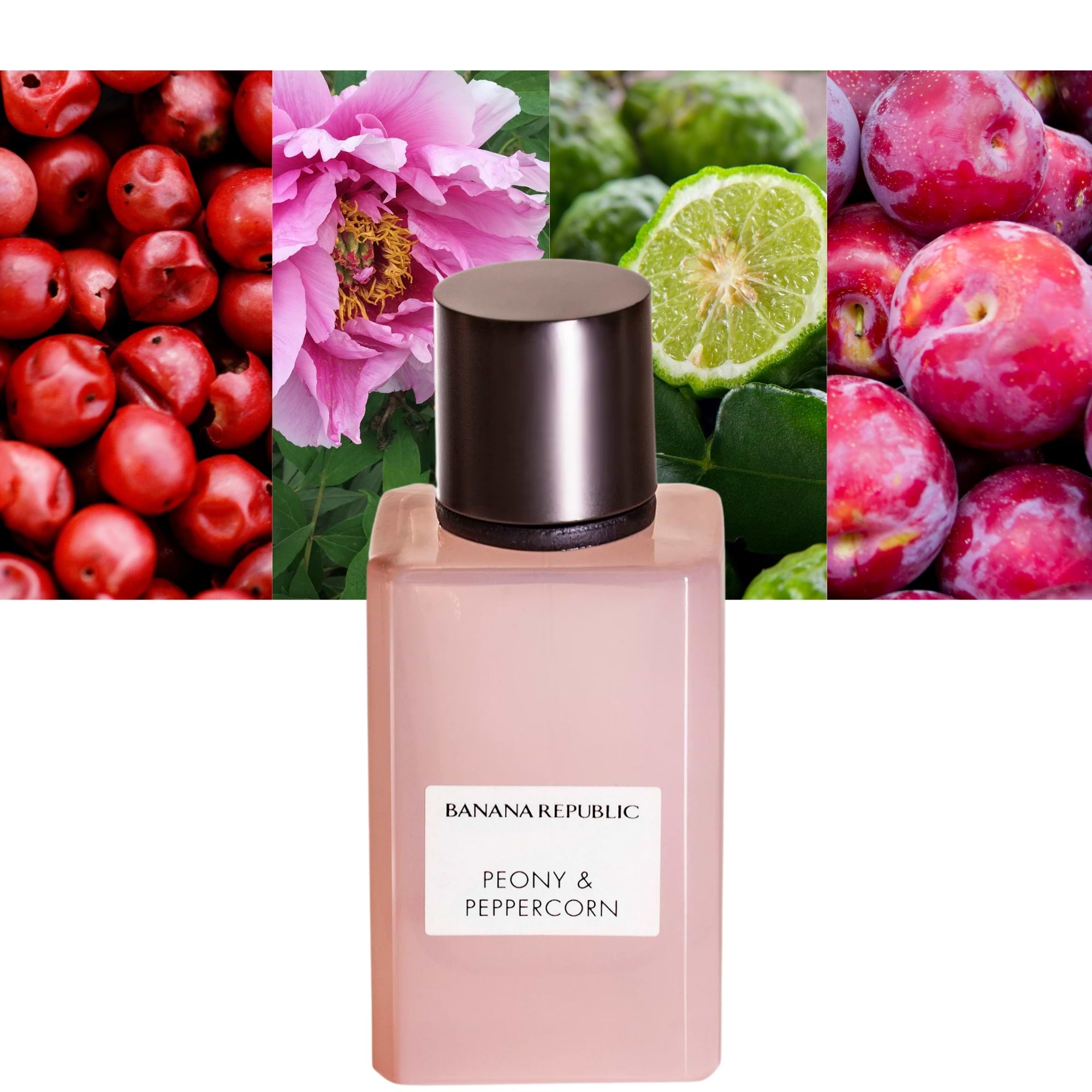 Banana Republic Peony & Peppercorn perfume 2.5 oz|MaxAroma.com Banana Republic Peony & Peppercorn perfume 2.5 oz|MaxAroma.com