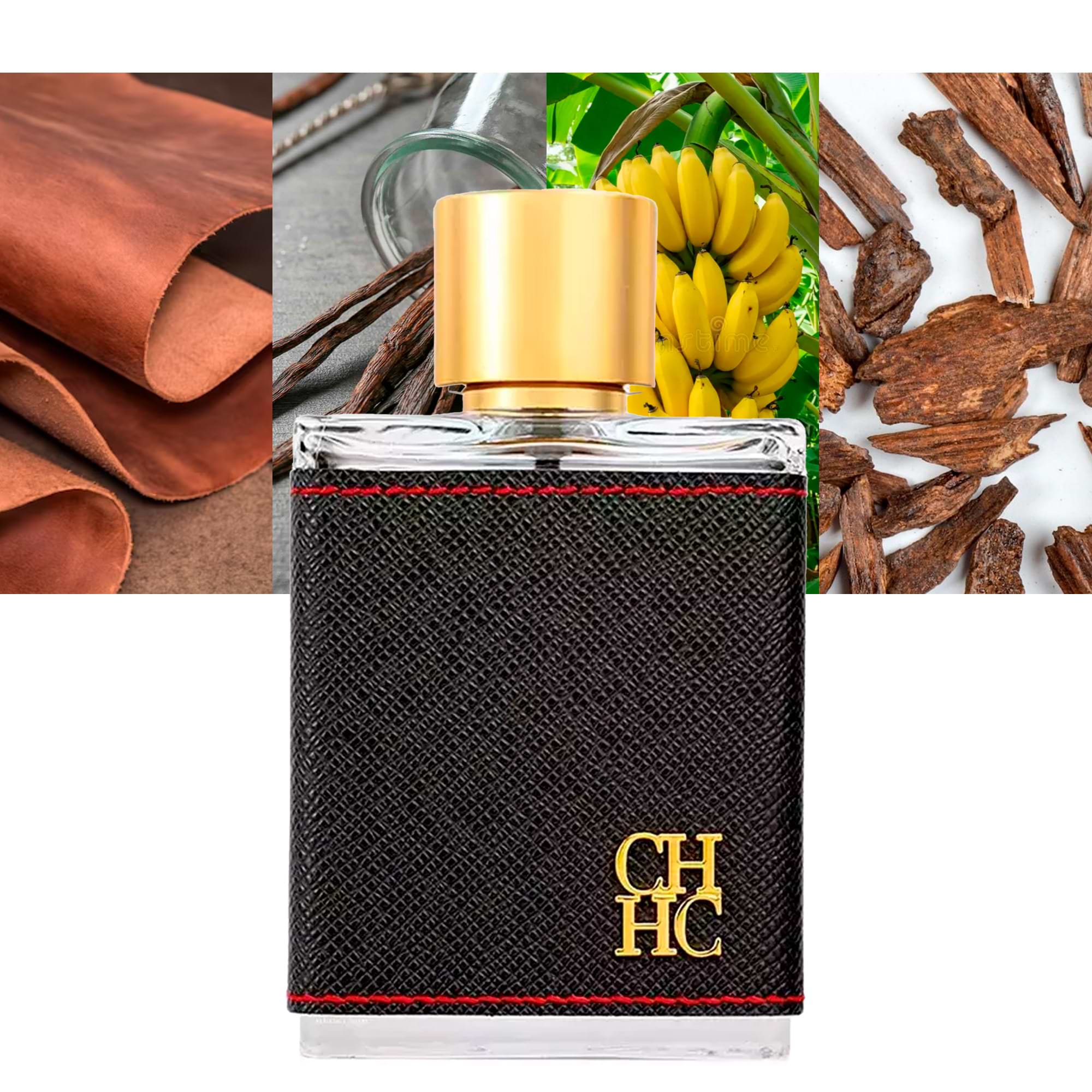 potted tobacco plant Punche Tobacco potted tobacco plant Punche Tobacco