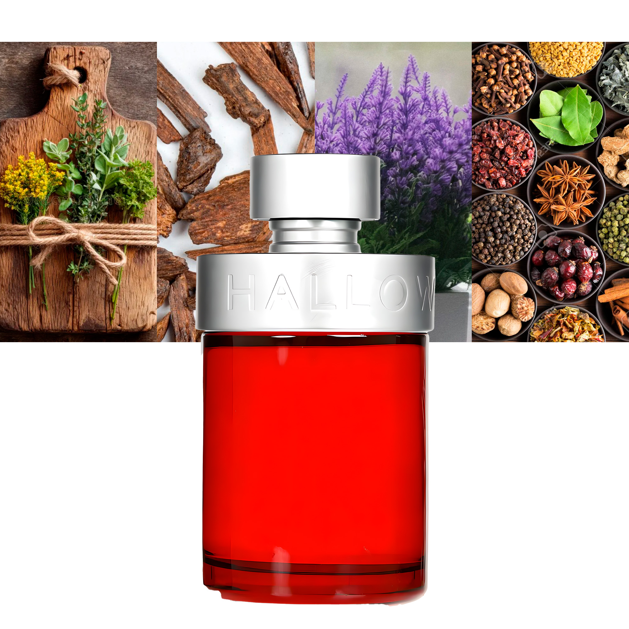 Halloween Man Rock On