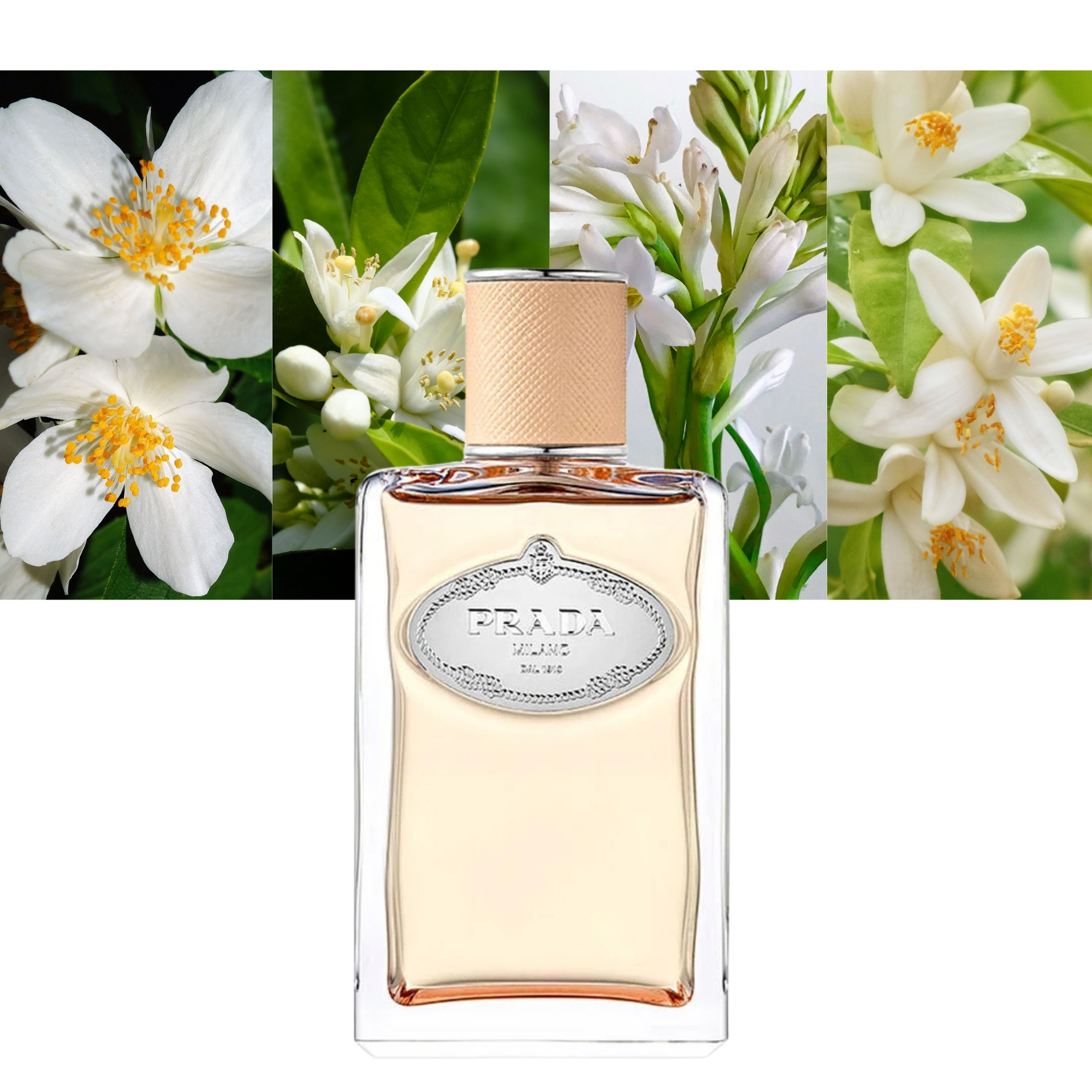 Infusion De Fleur D'Oranger