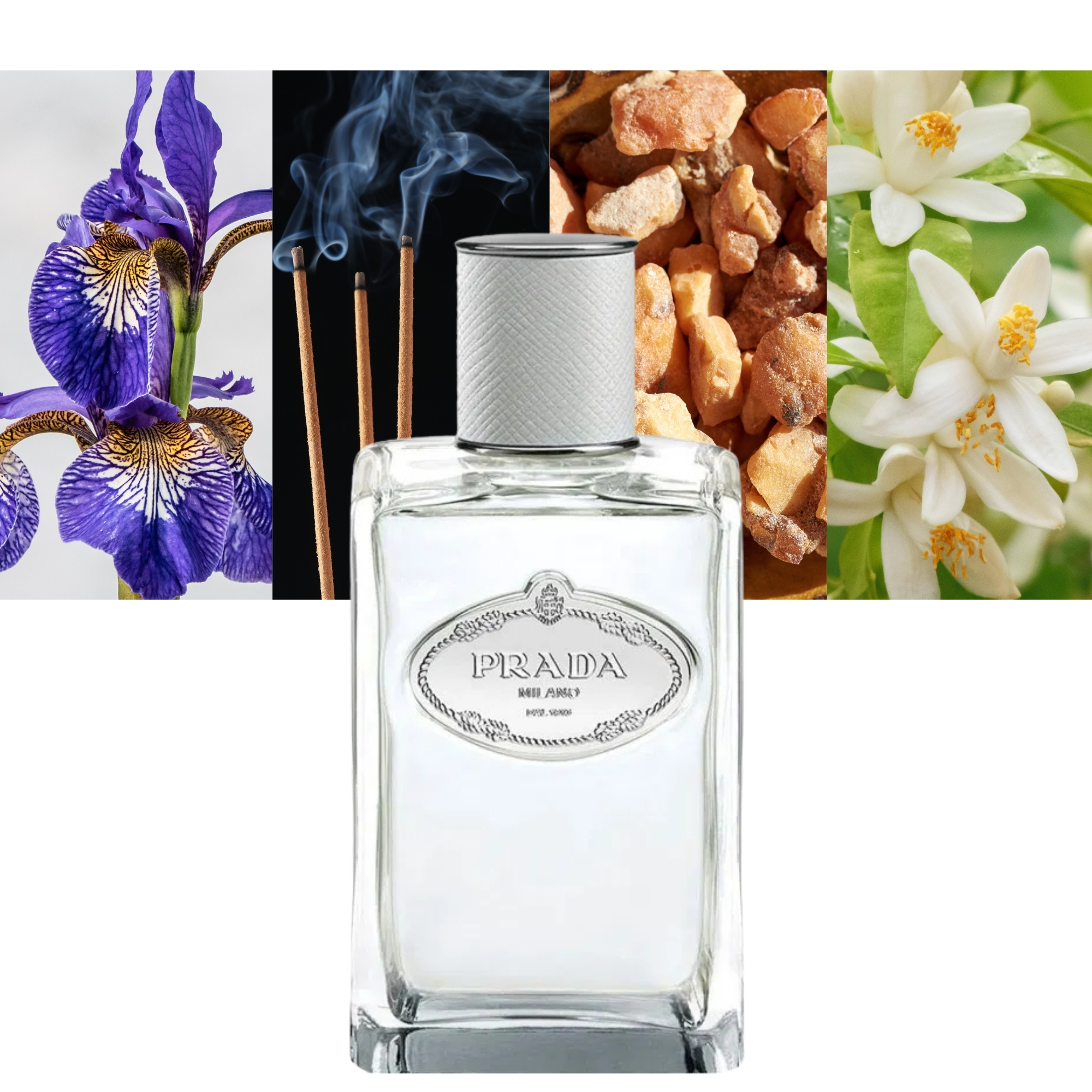 Infusion D'iris Cedre