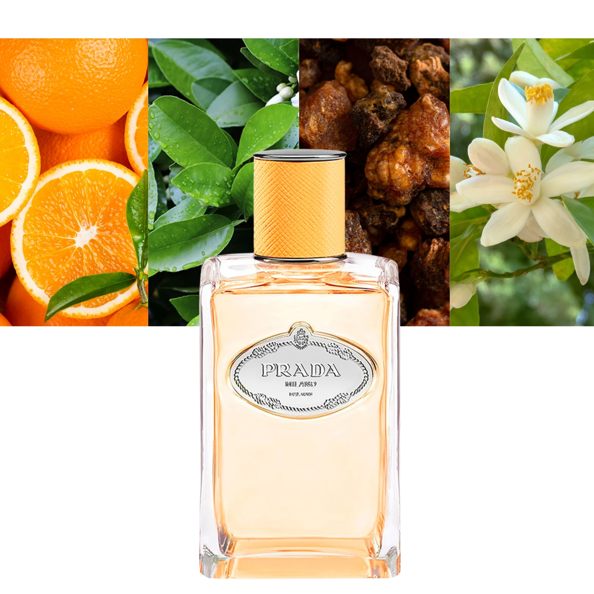 Infusion de Mandarine