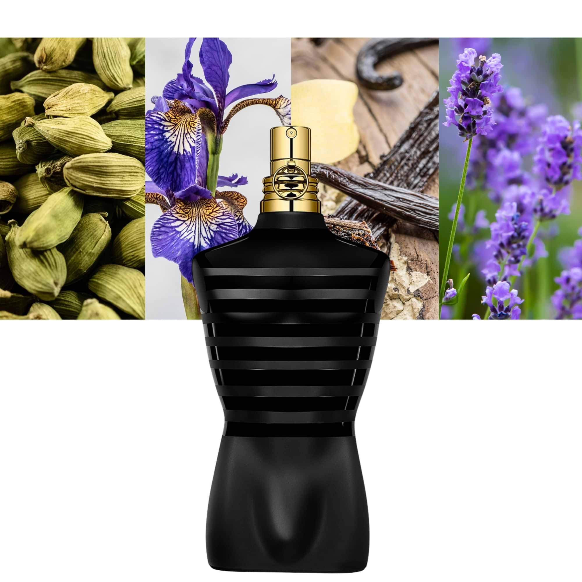 Le Male Parfum