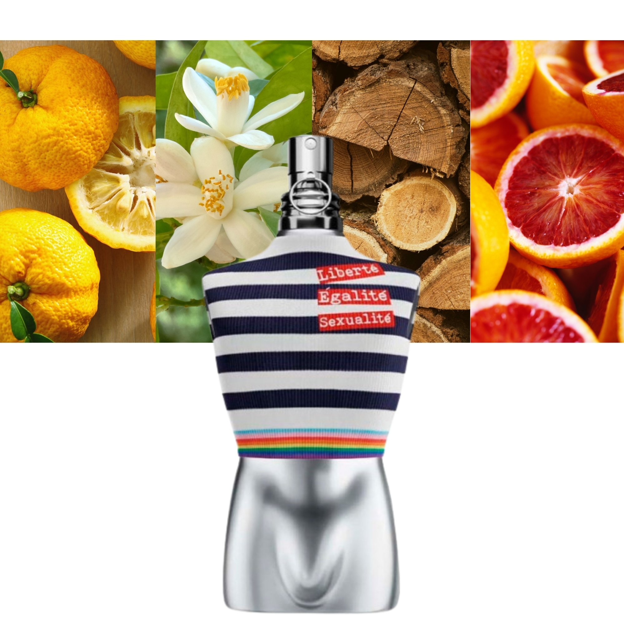 Le Male Pride Edition