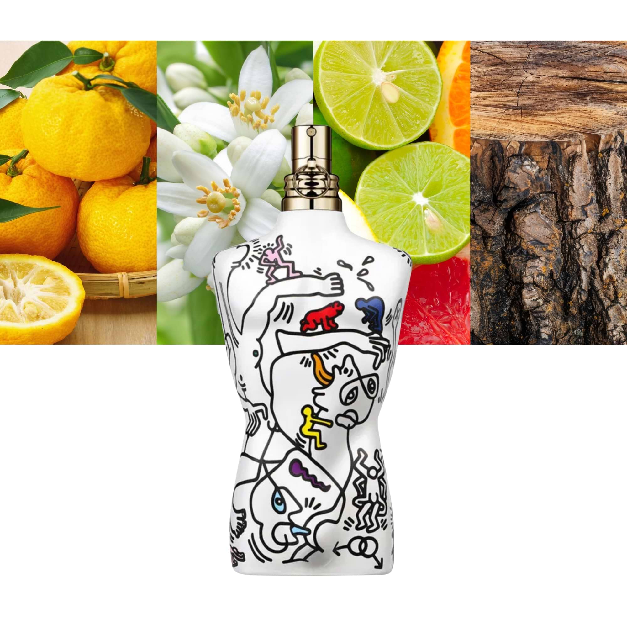 Jean Paul Gaultier Le Male Pride 2024 Eau De Toilette 120ml MAXAROMA Jean Paul Gaultier Le Male Pride 2024 Eau De Toilette 120ml MAXAROMA