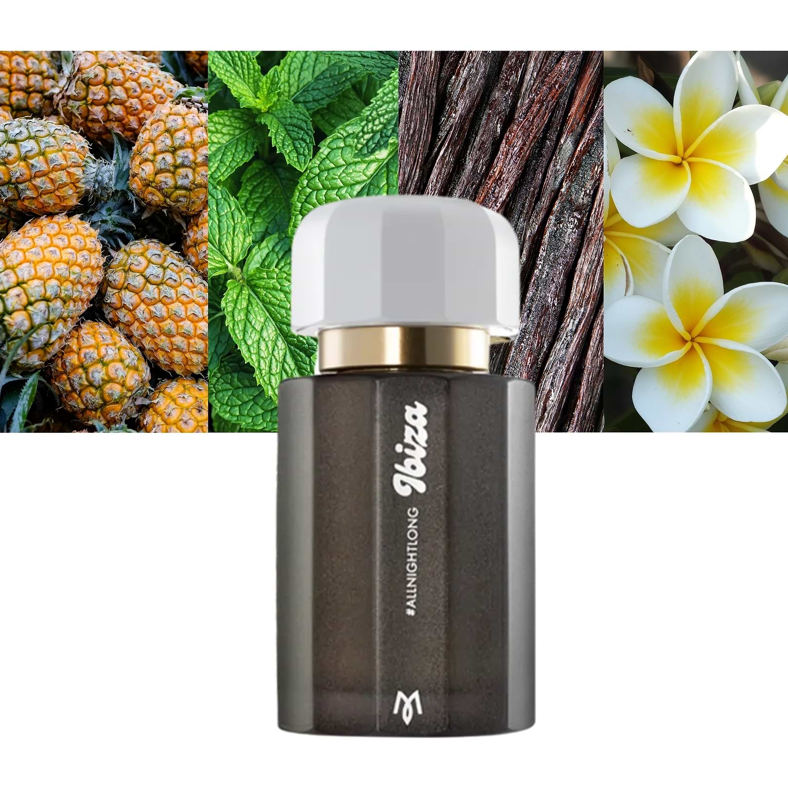Ramon Monegal All Night Long Eau De Parfum Unisex 100ml-A Fragrance That Transforms Your Night"