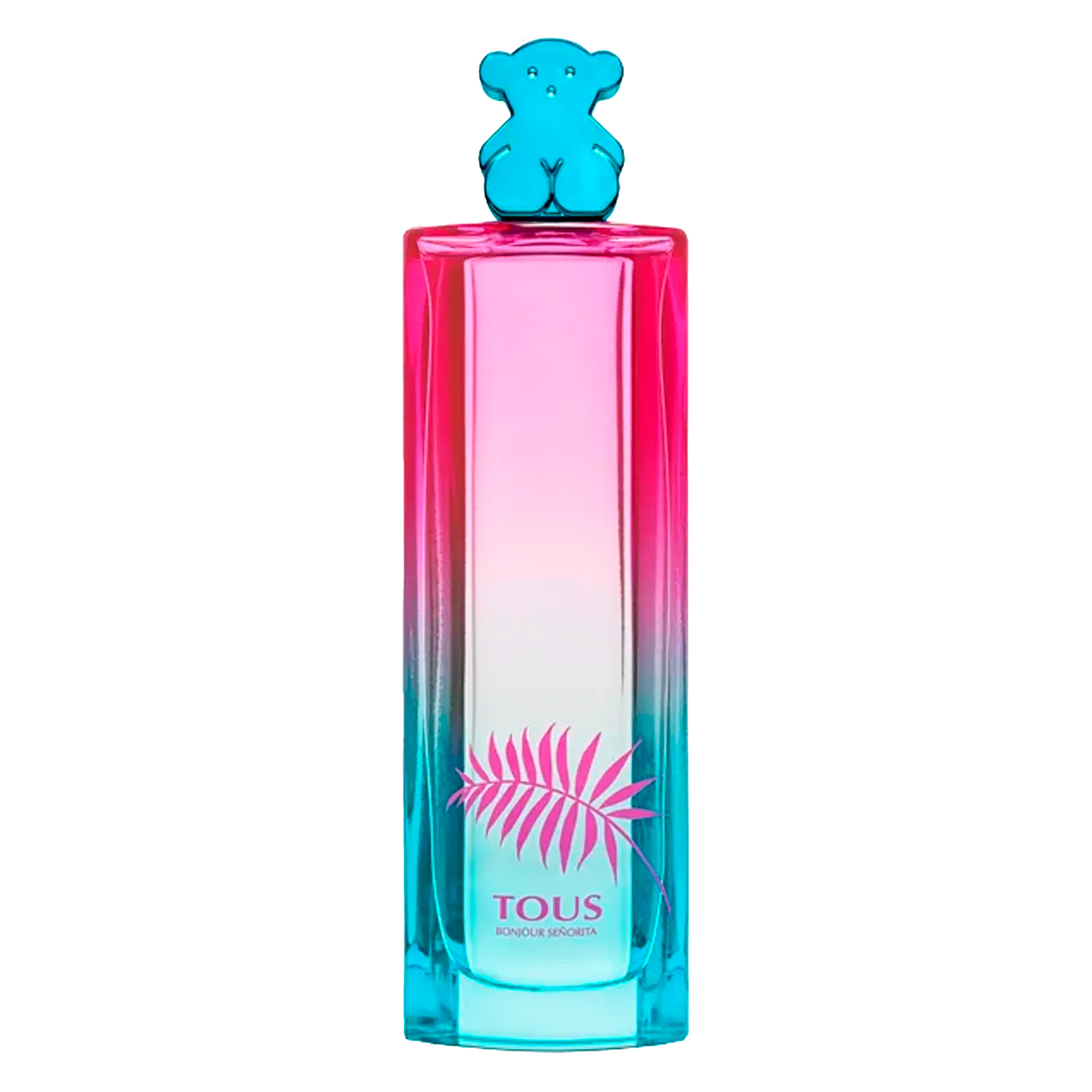 Tous Bonjour Senorita