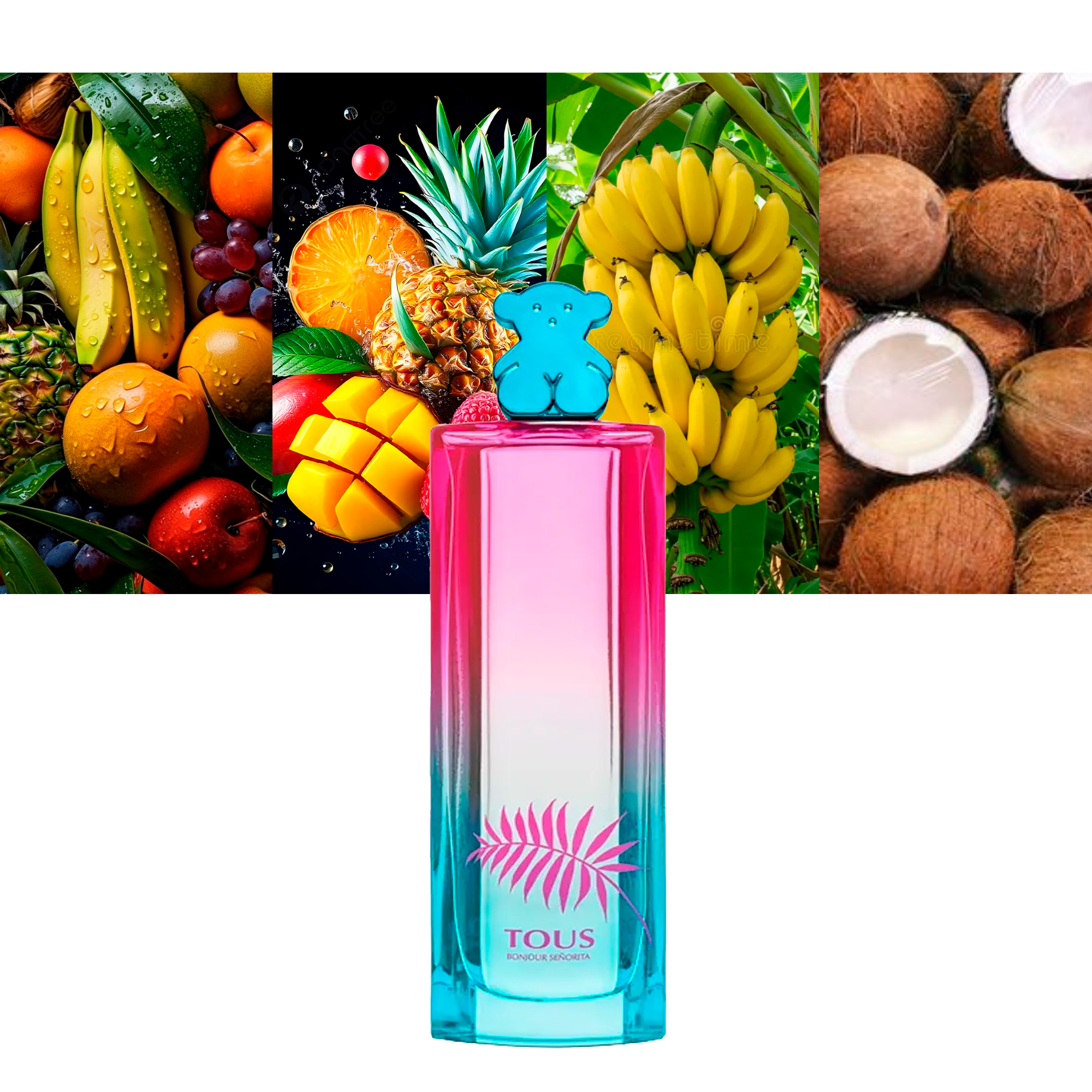 Tous Bonjour Senorita