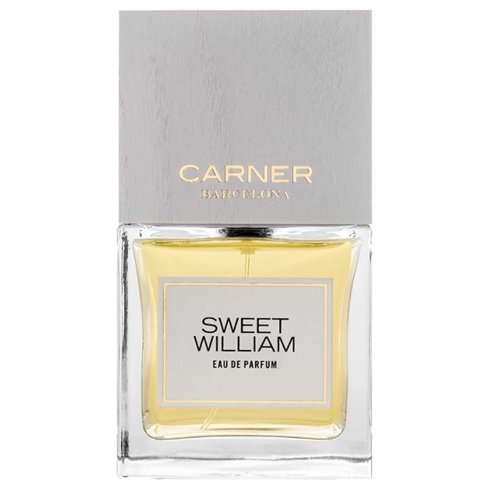 Carner Barcelona Sweet William