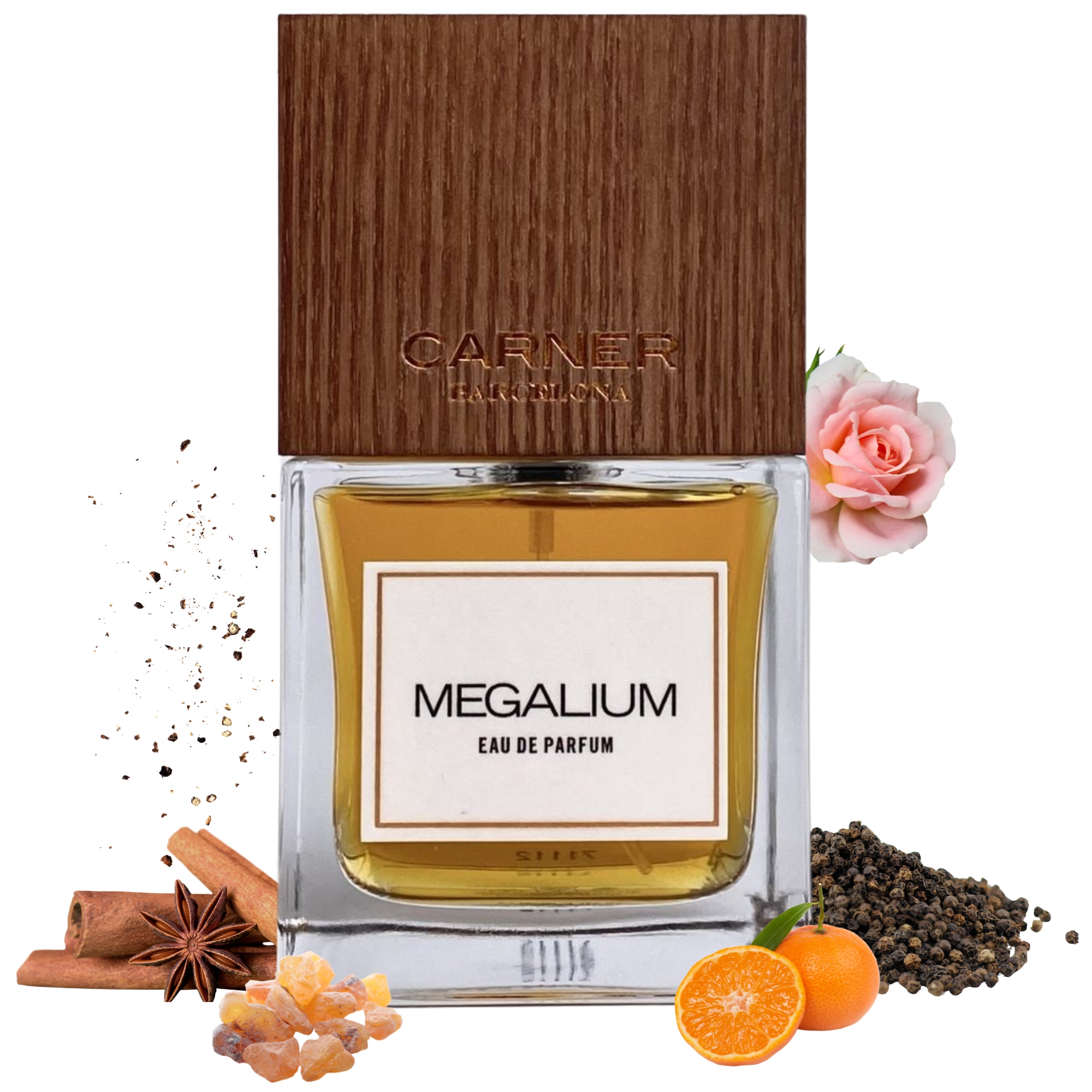 Megalium 