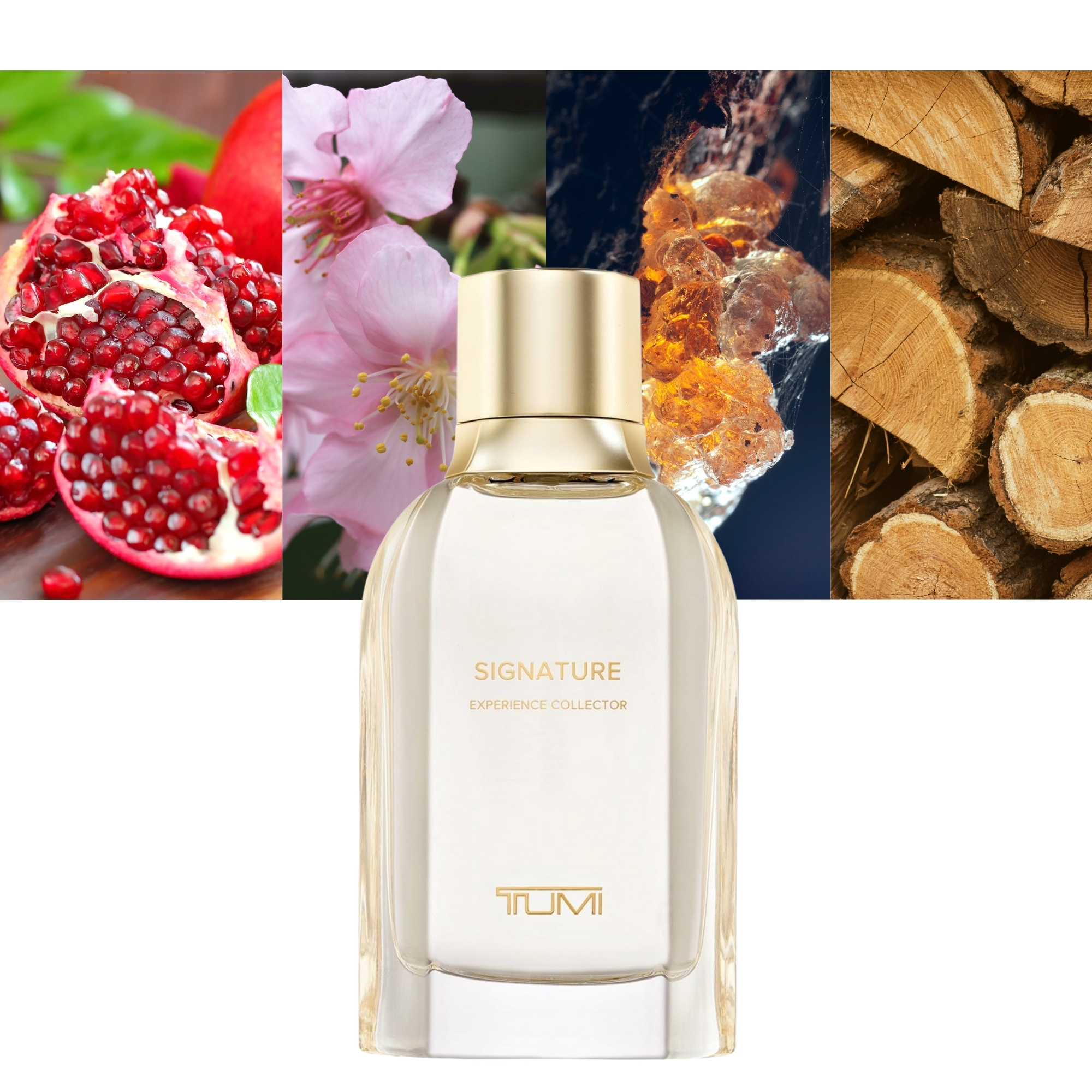 Signature Experience Collector