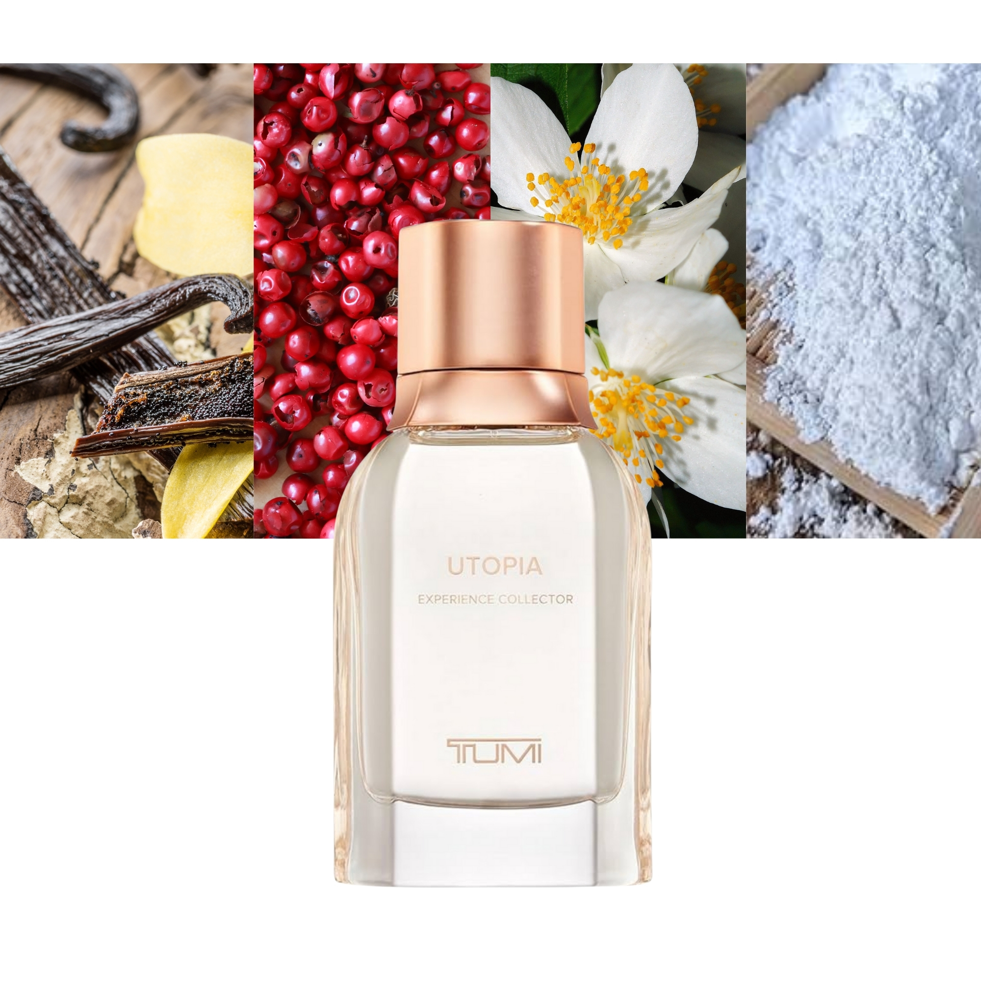 Utopia Experience Collector