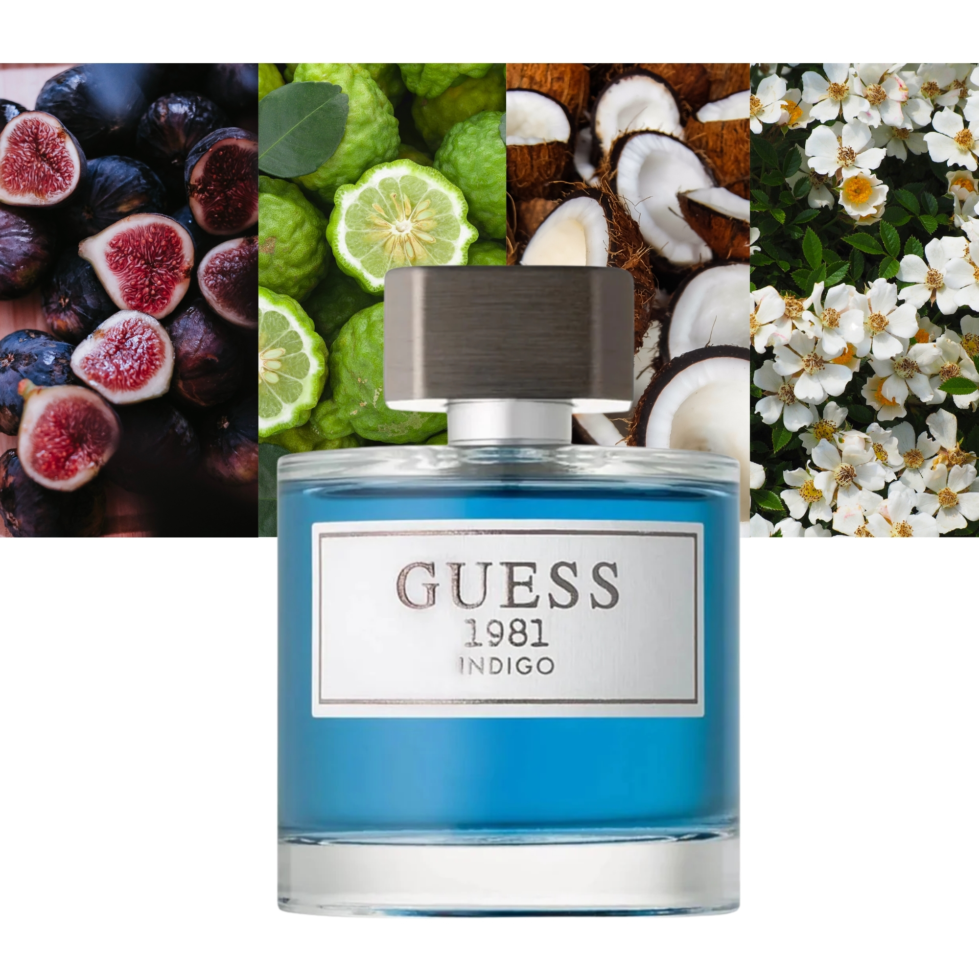 Guess 1981 Indigo