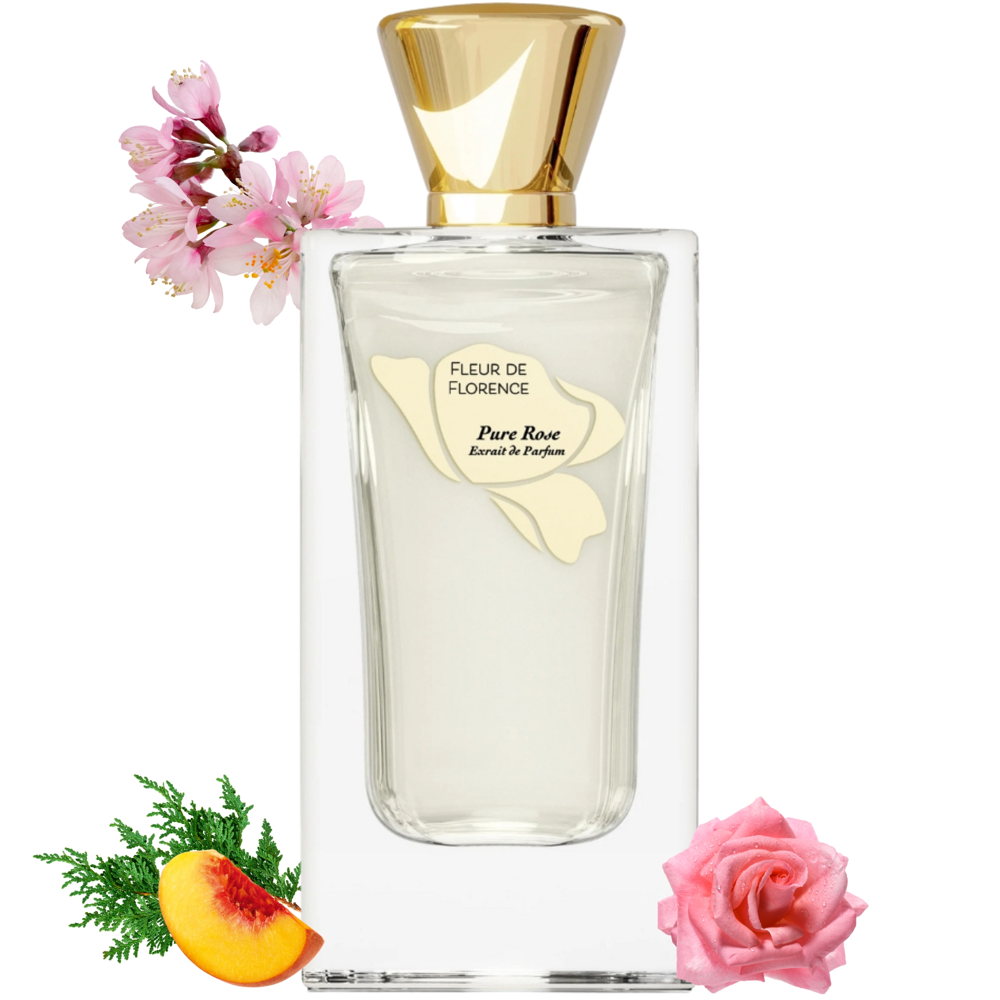 Pure Rose