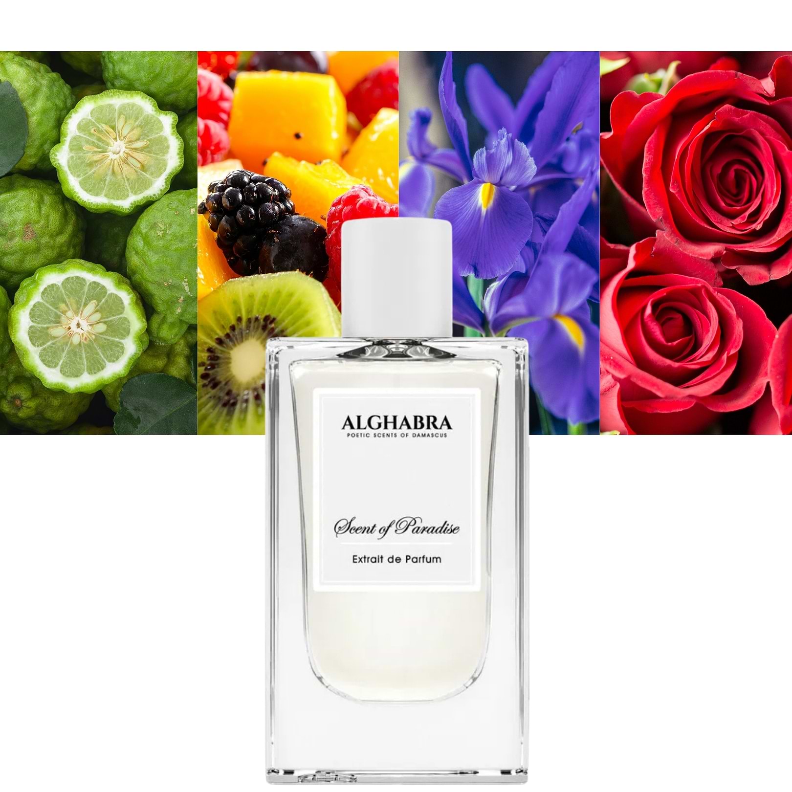 alghabra parfums cuban tobacco extrait From Essence of Origins Series When Spanish sailors first explored Cuba in 1492, they returned with accounts of tall forests, chattering birds, and men and women going from place gradually unfolding into a heart of tobacco Shop Alghabra Parfums Cuban Tobacco