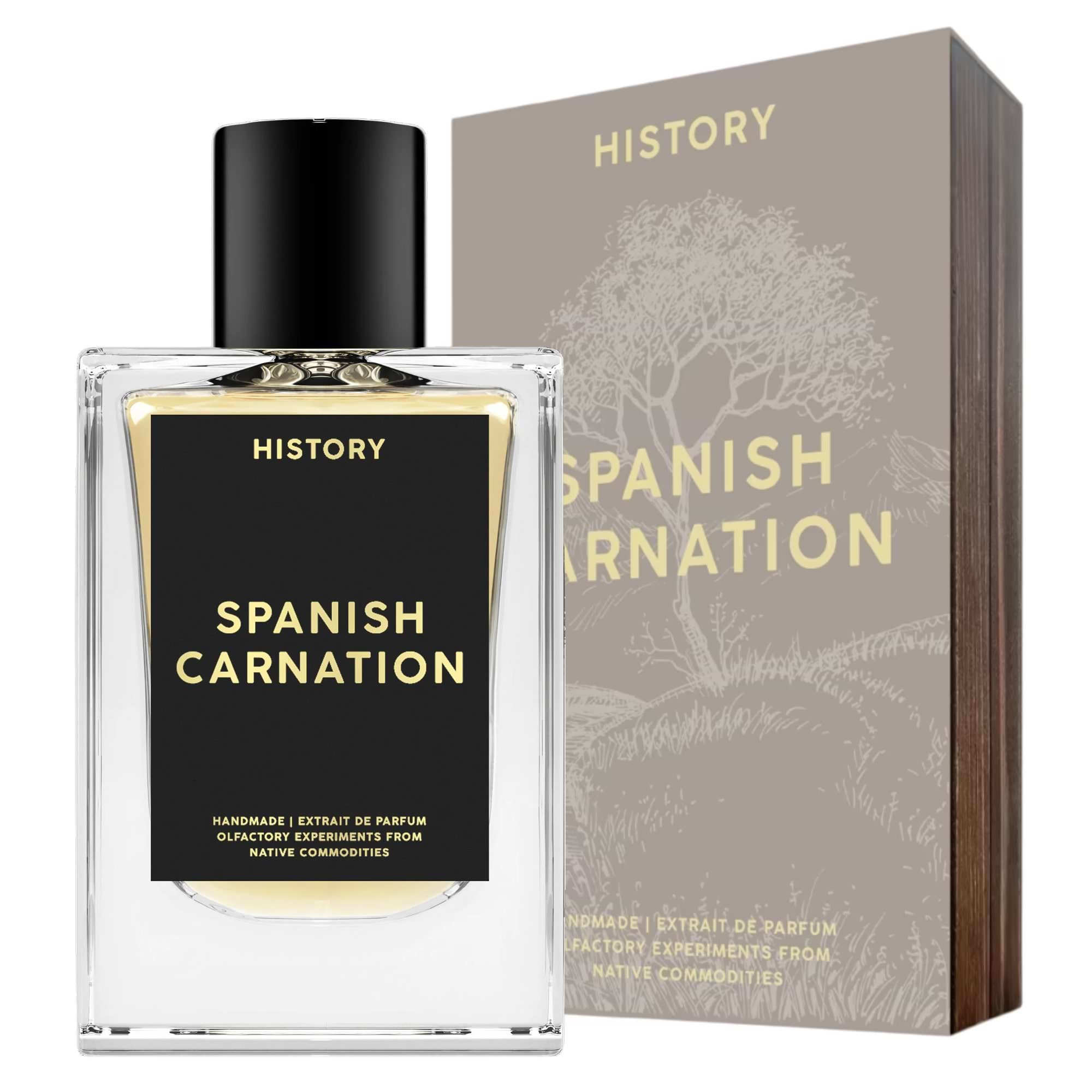 Spanish Carnation